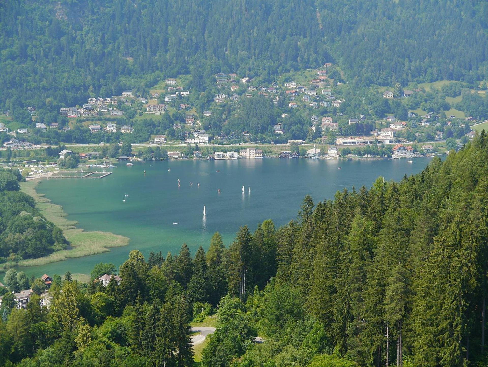 APARTMENT WALD - im Skigebiet Gerlitzen & Ossiacher See