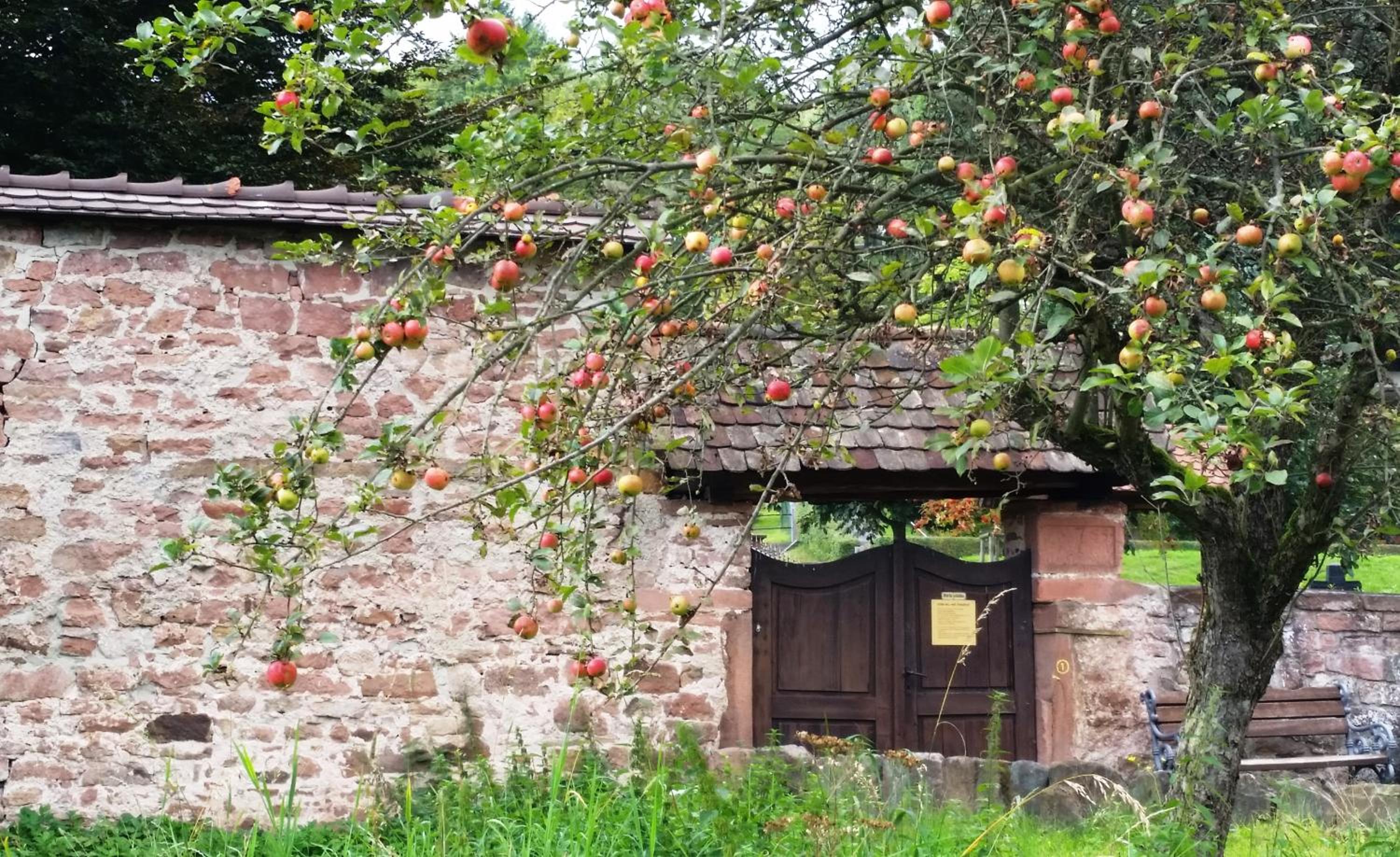 Urlaubs(t)raum
