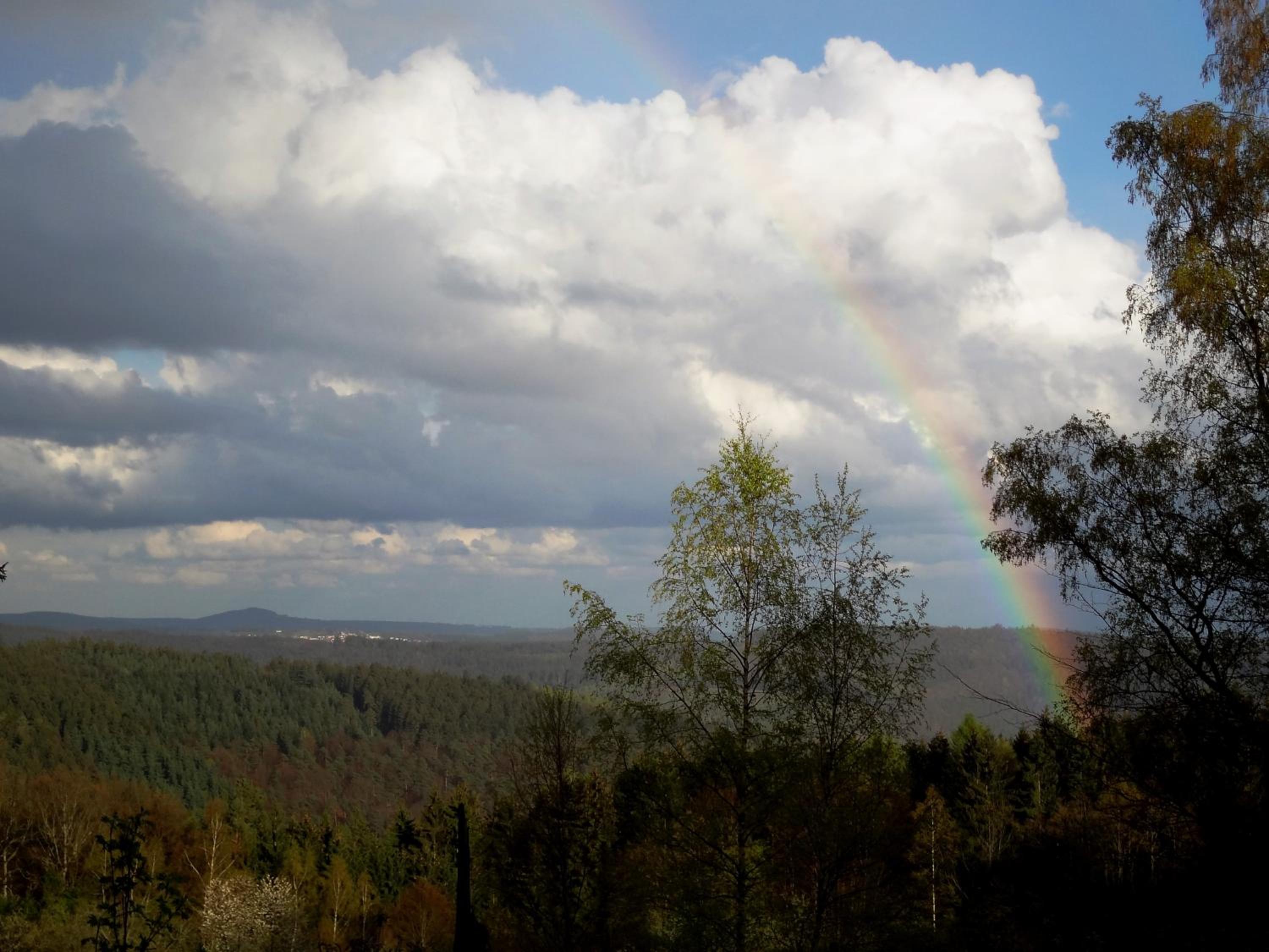 Urlaubs(t)raum
