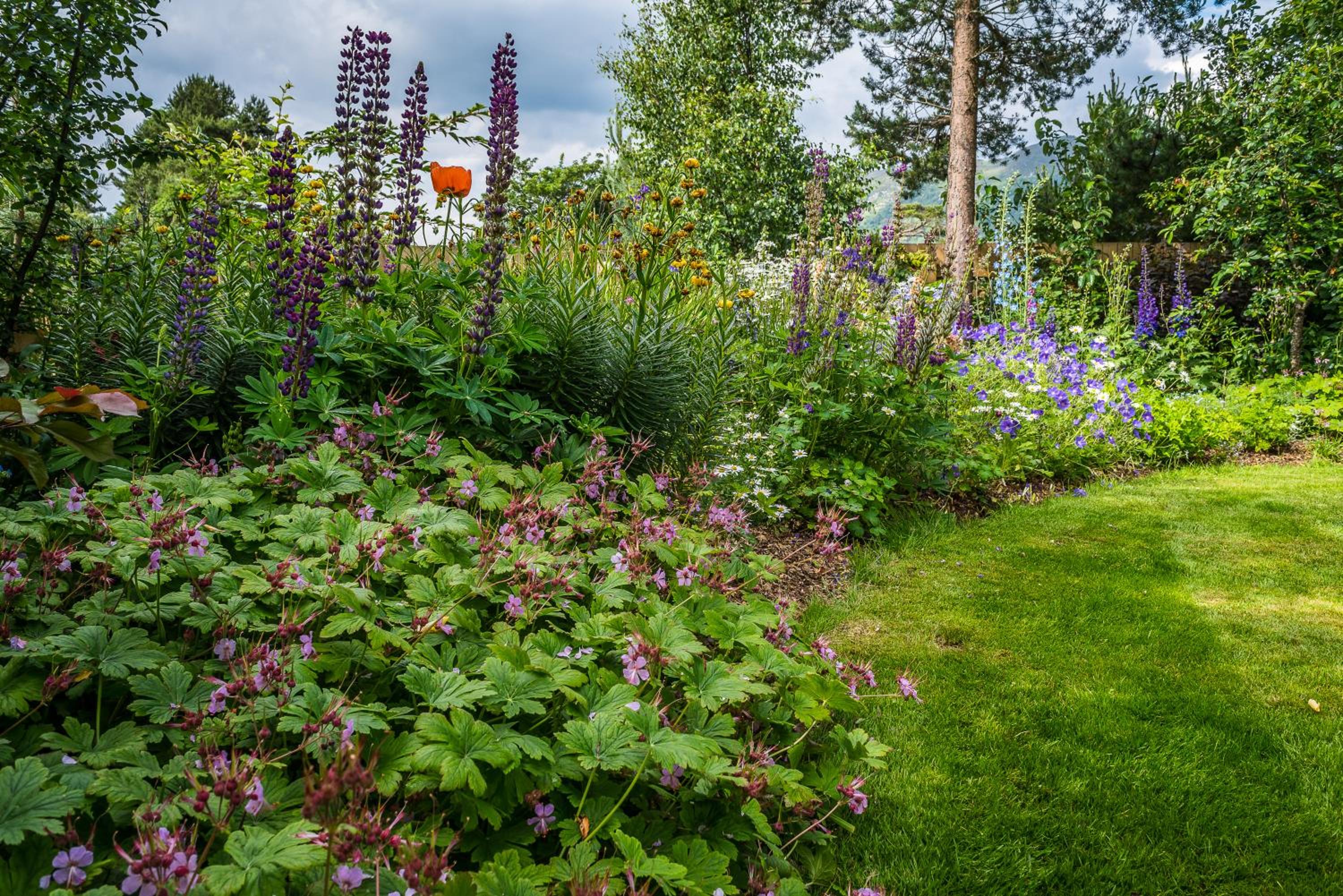Dower House Newtonmore B&B
