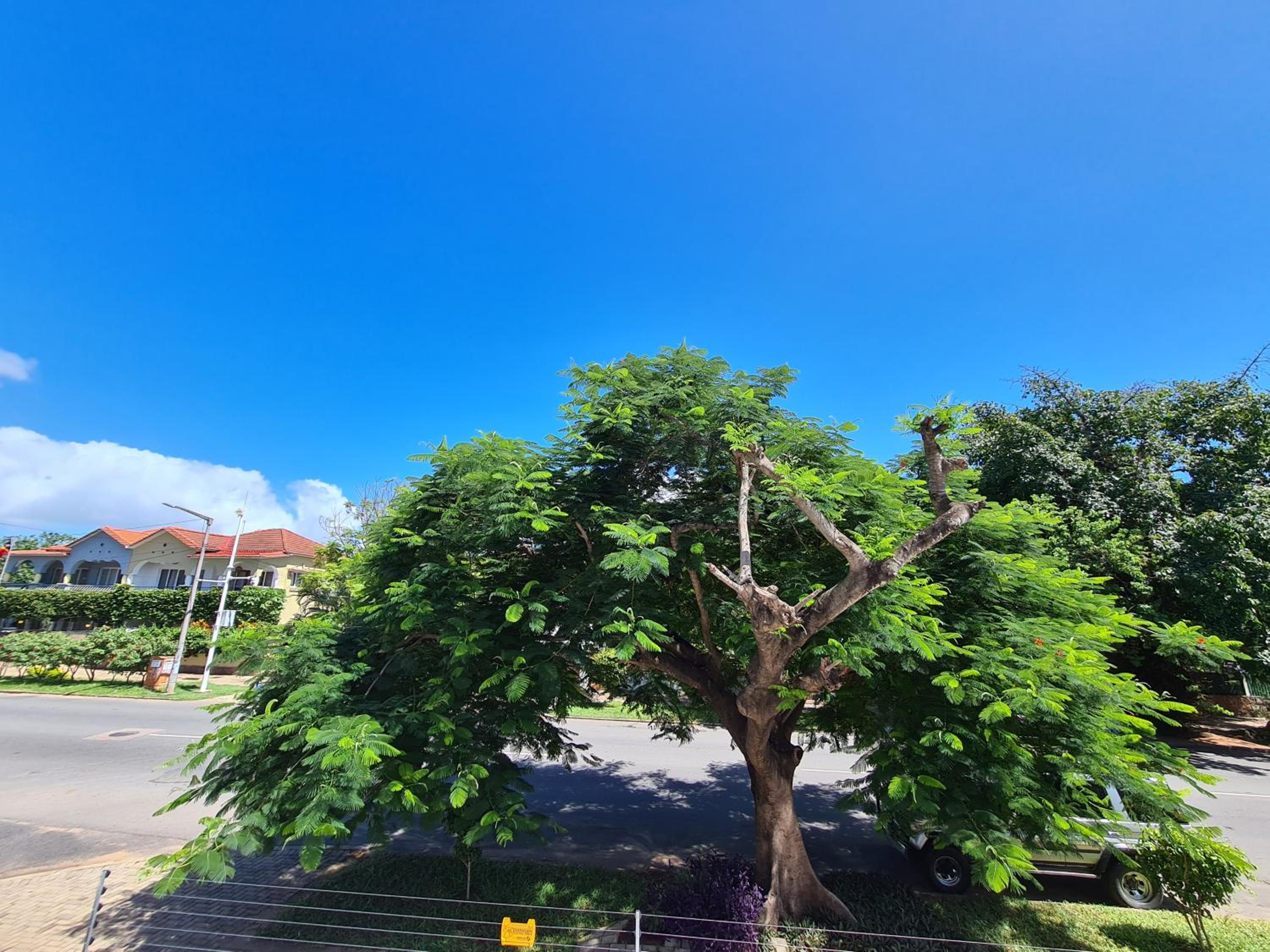 Stay Inn - Guest House view 4