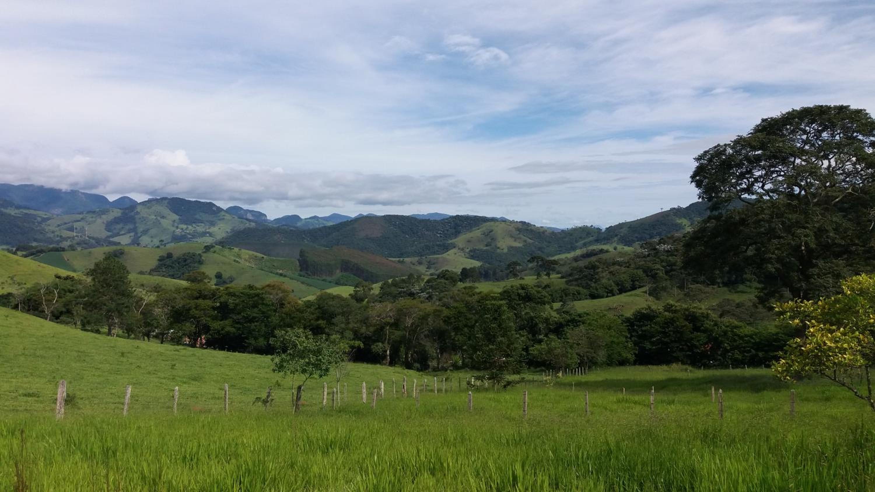 Sítio entre Santo Antonio Pinhal e Campos do Jordão