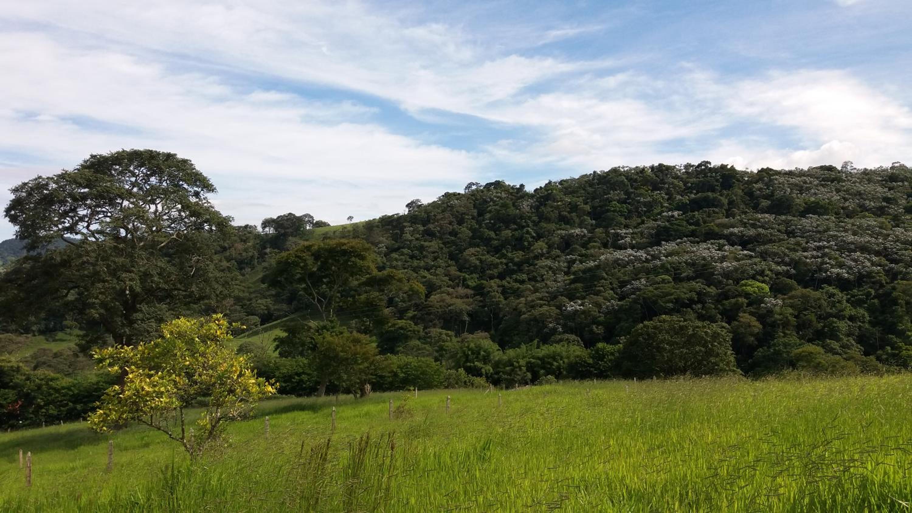 Sítio entre Santo Antonio Pinhal e Campos do Jordão