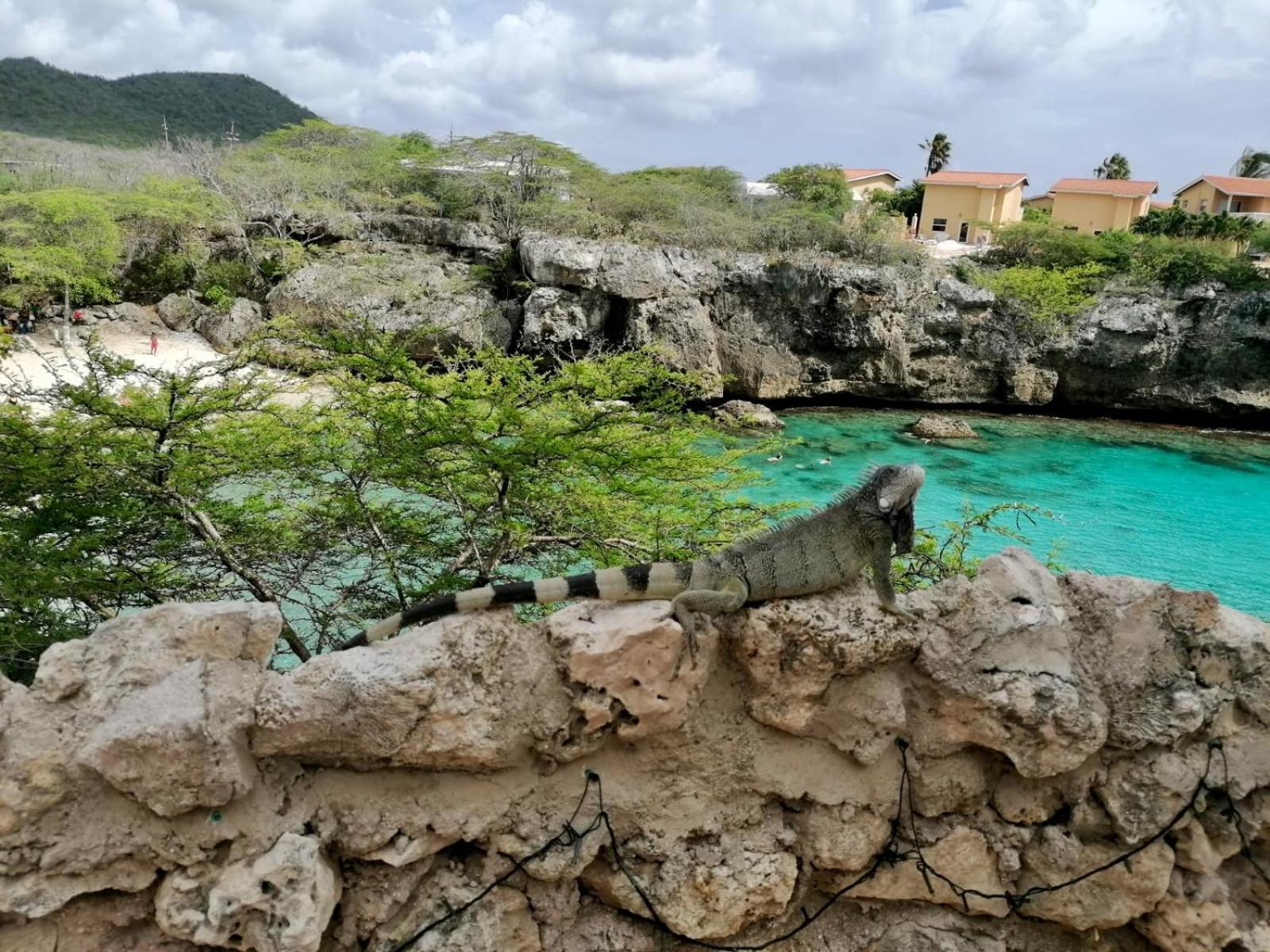 Blue Bay Villa Bon Bini.
