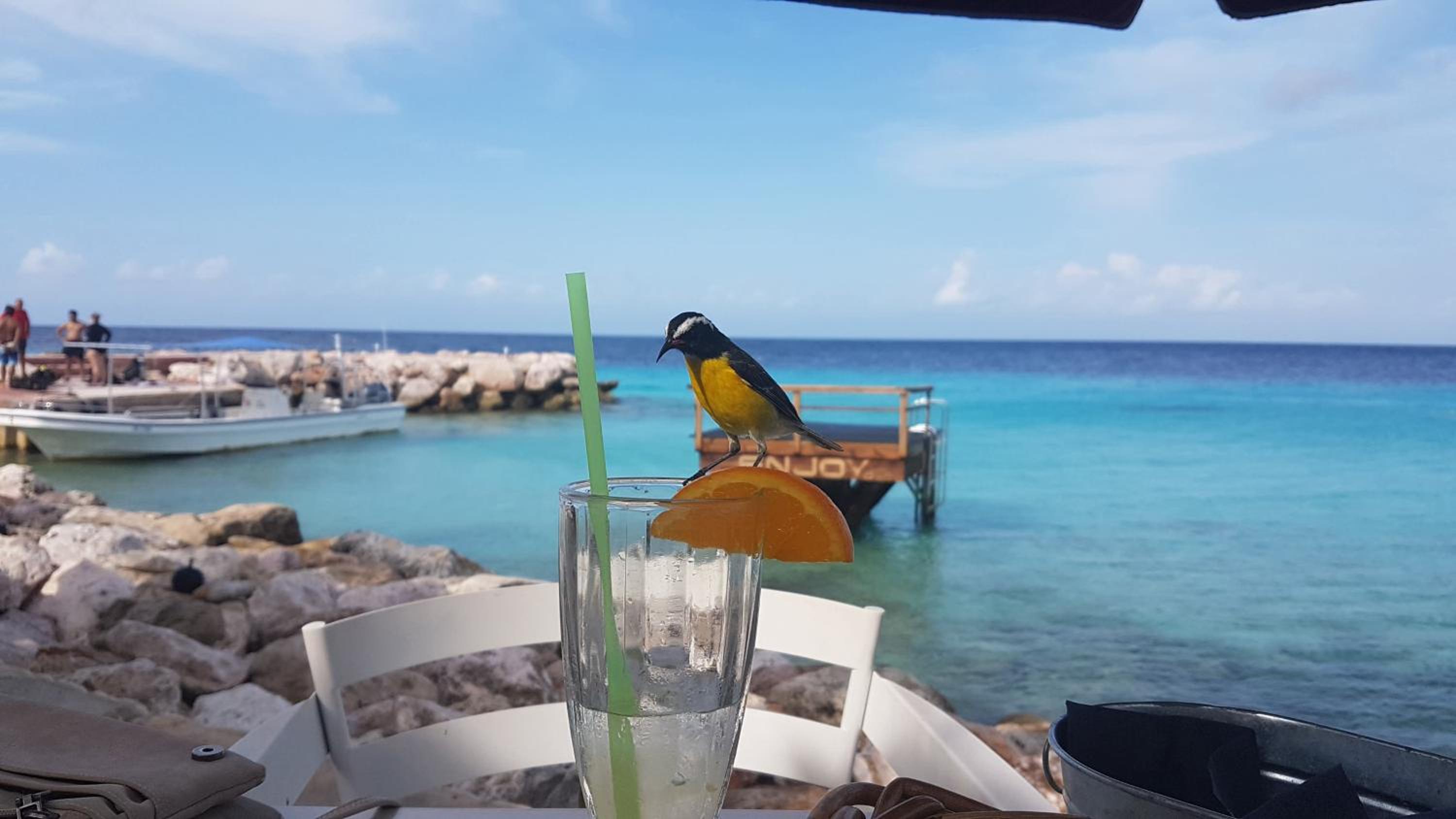 Blue Bay Villa Bon Bini.