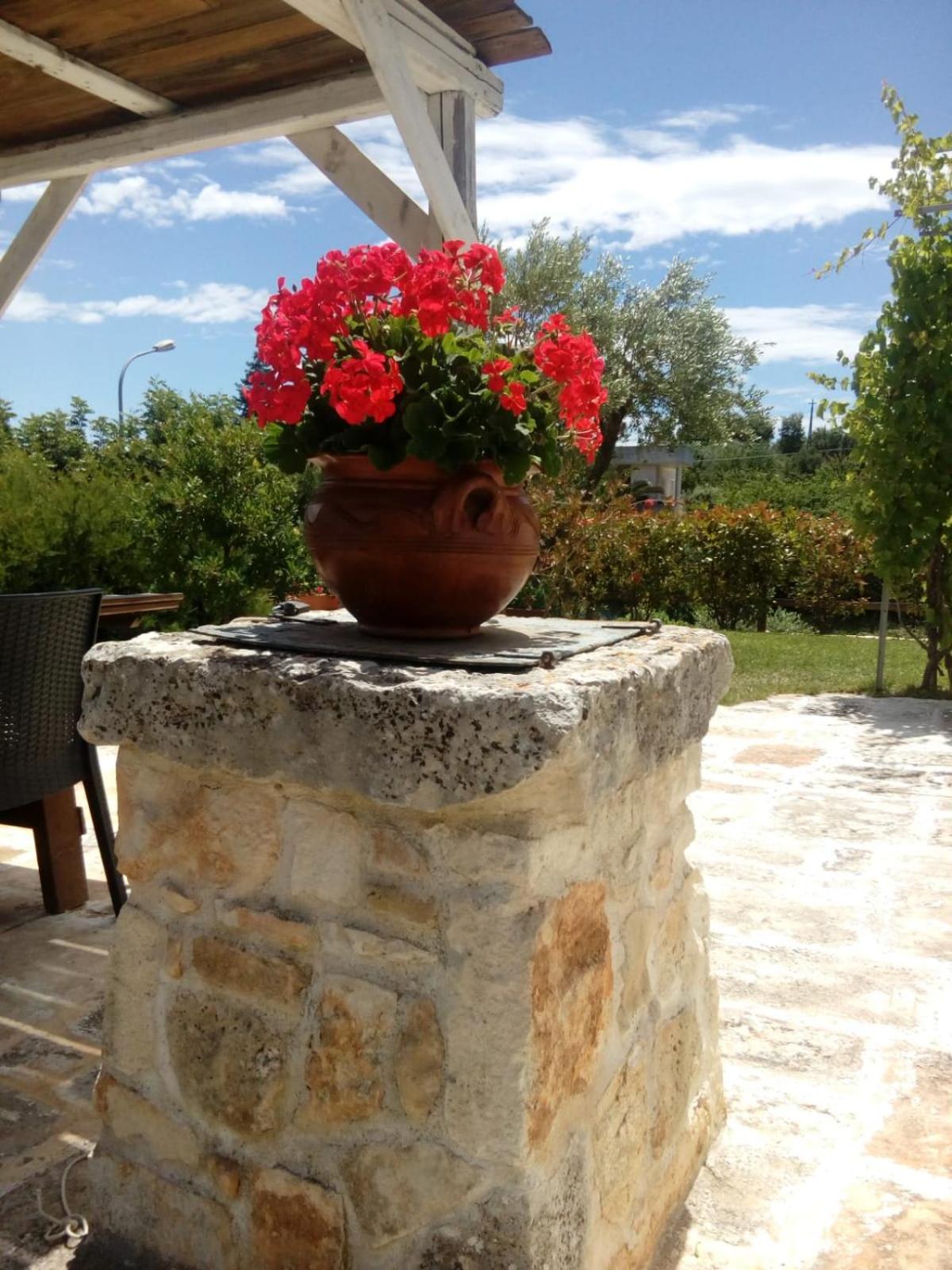 Photo 49