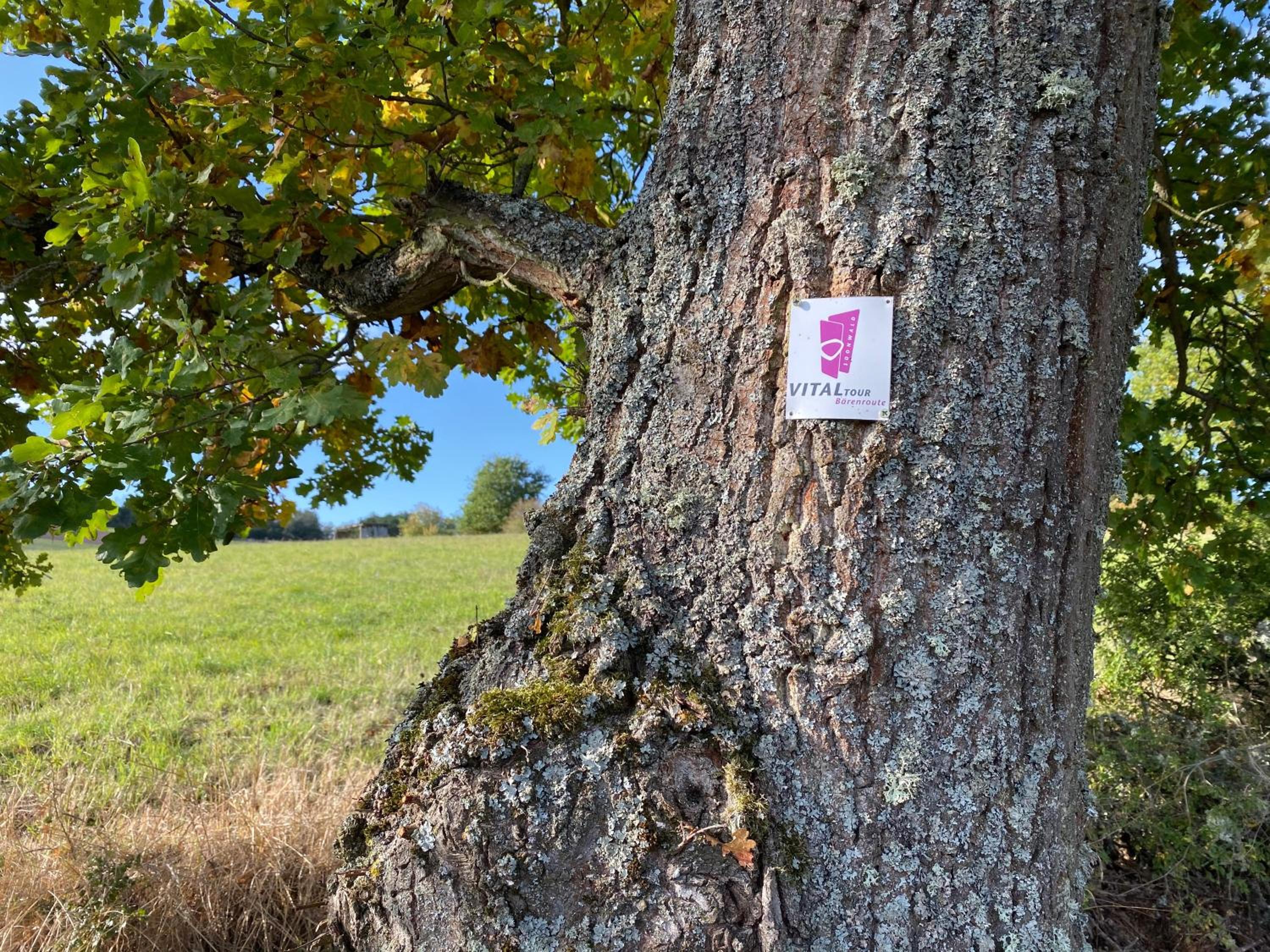 Ferienwohnungen Traumblick im Nahetal