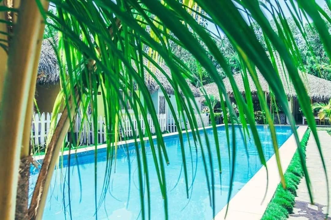 Las Dunas Surf Resort