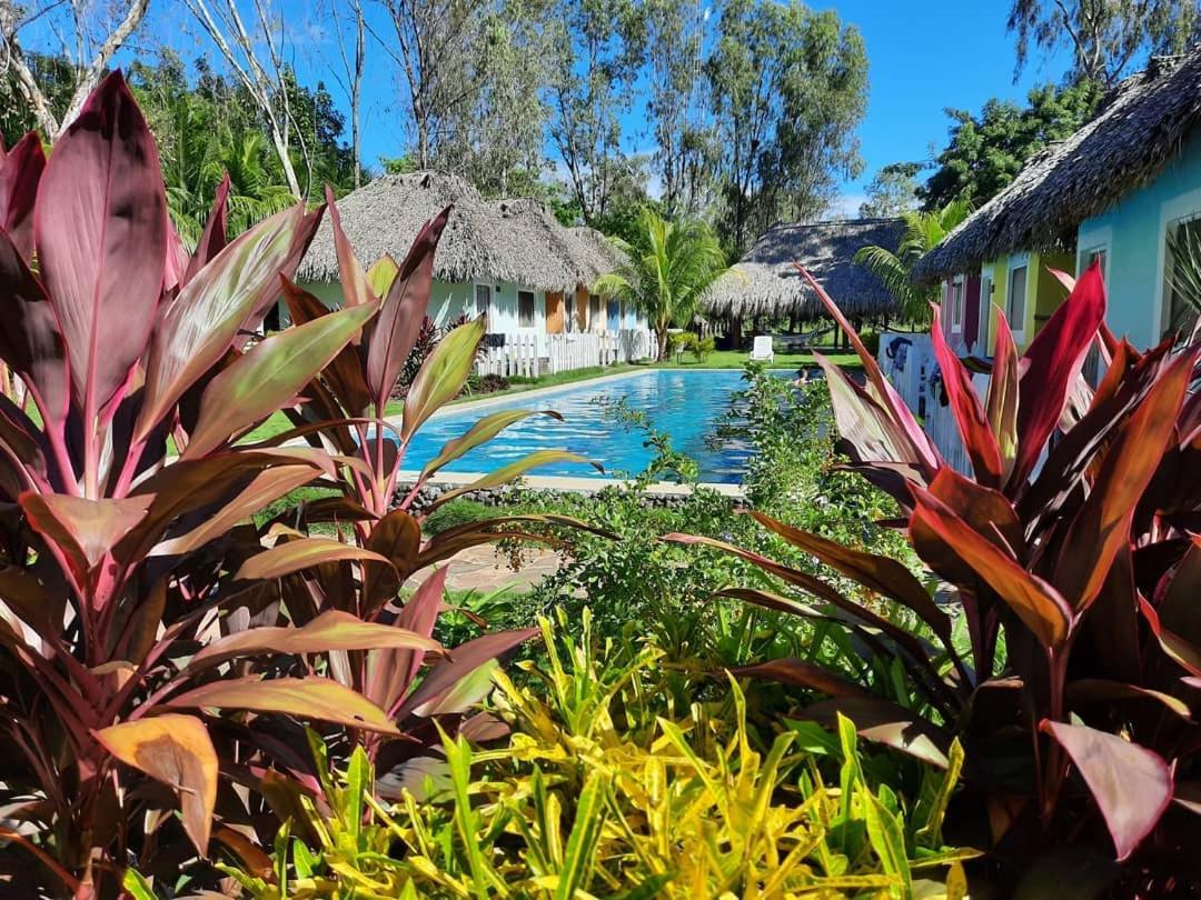 Las Dunas Surf Resort