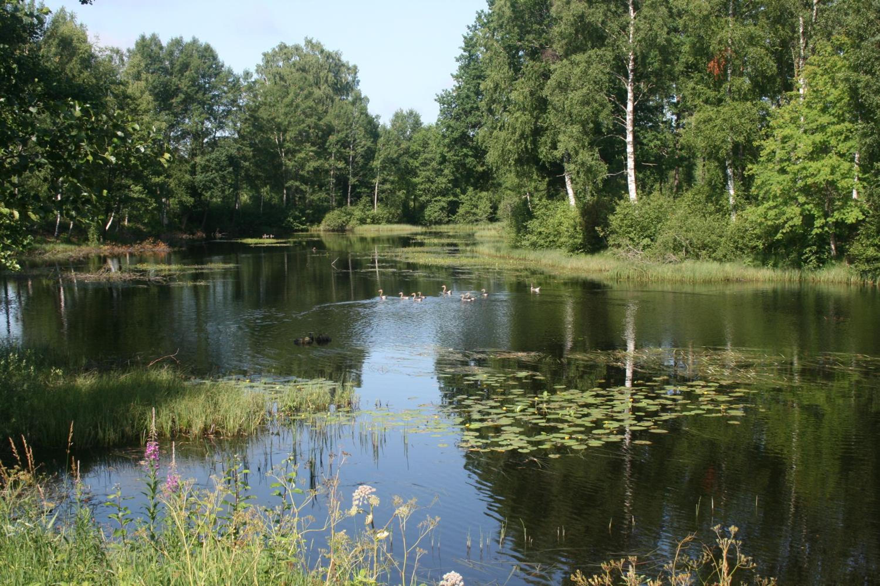 Torups Vandrarhem view 2