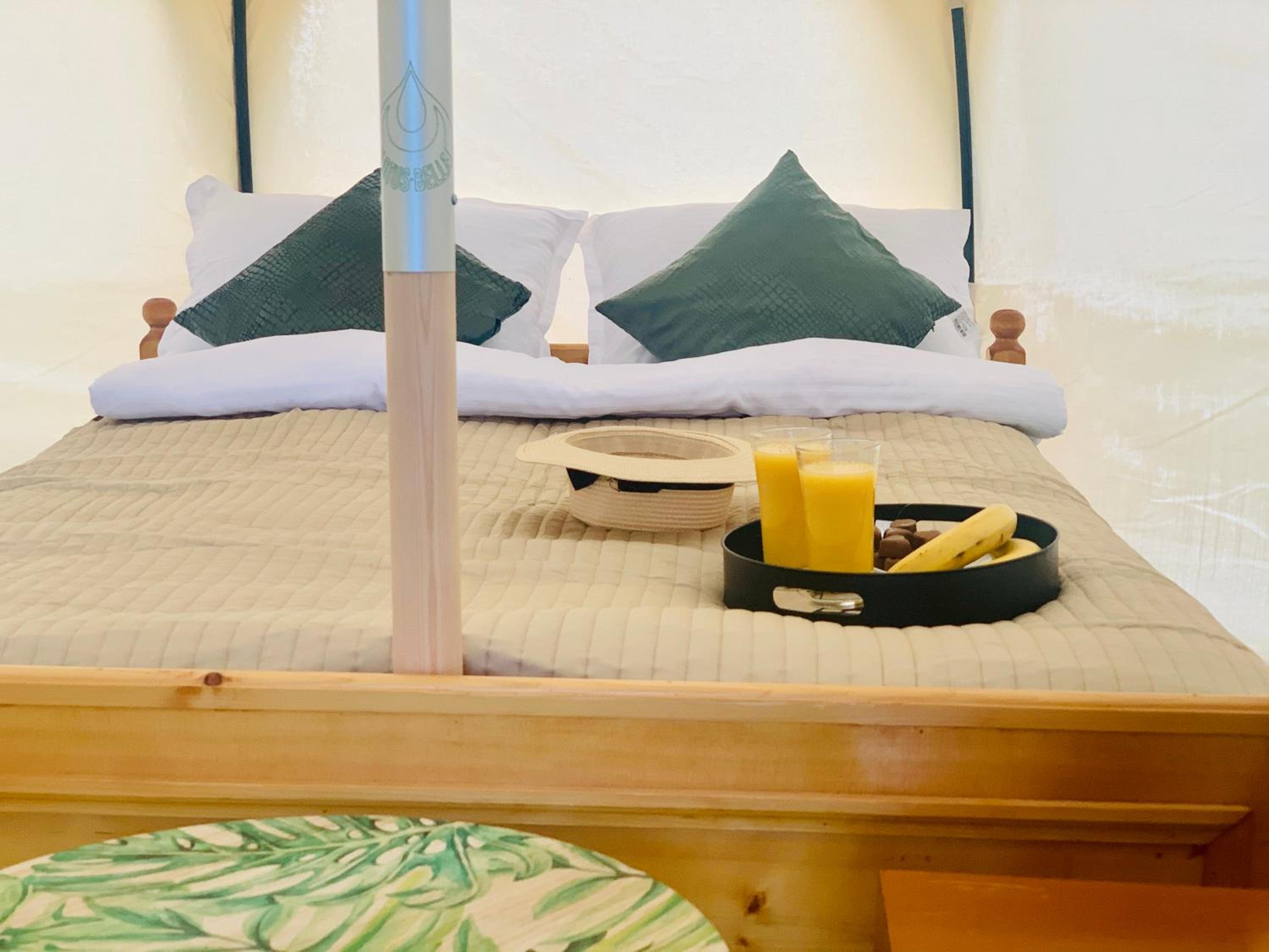 Glamping Zvjezdana dolina view 2