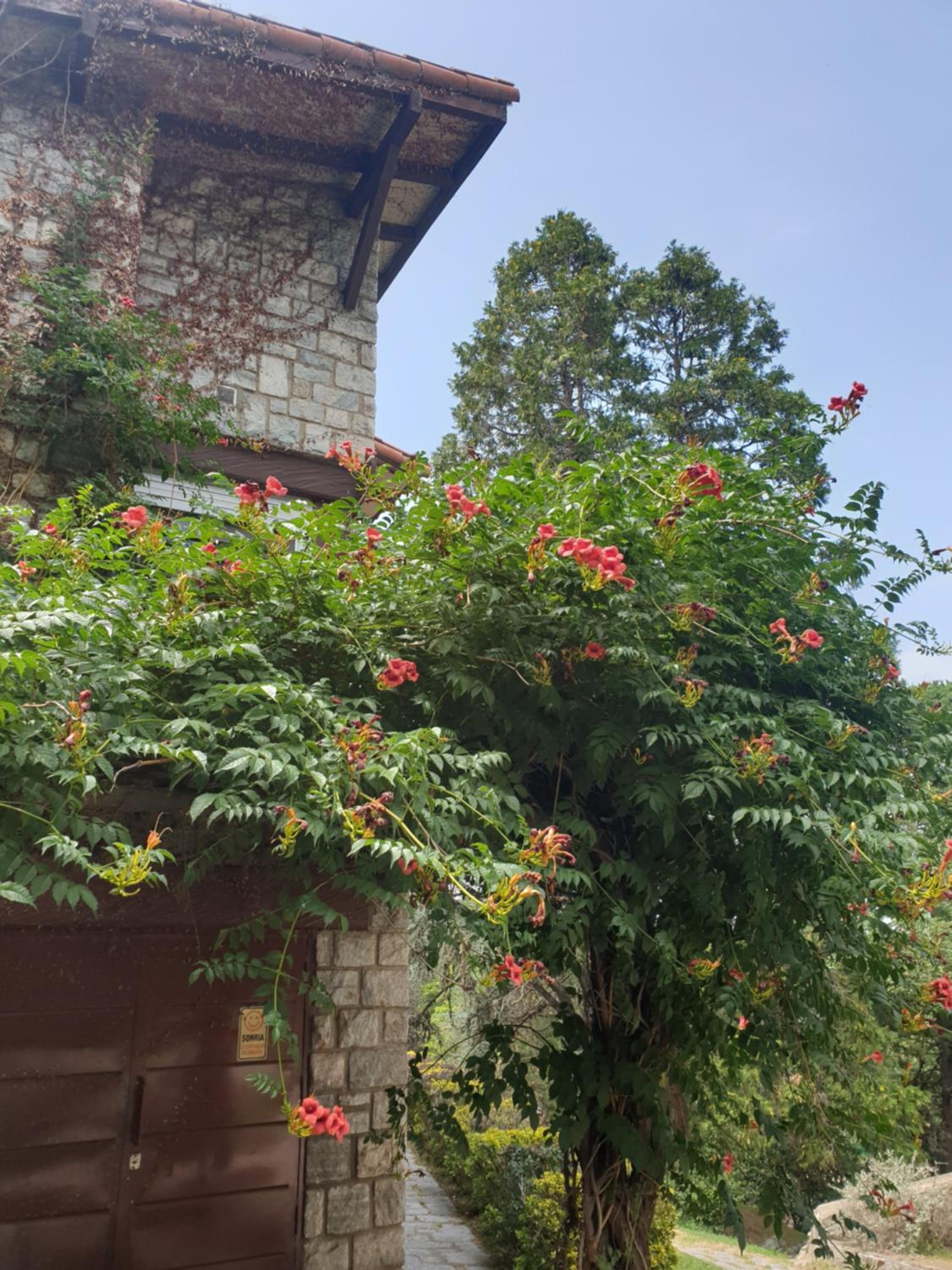 Las Terrazas Resort & Apart-Cabañas