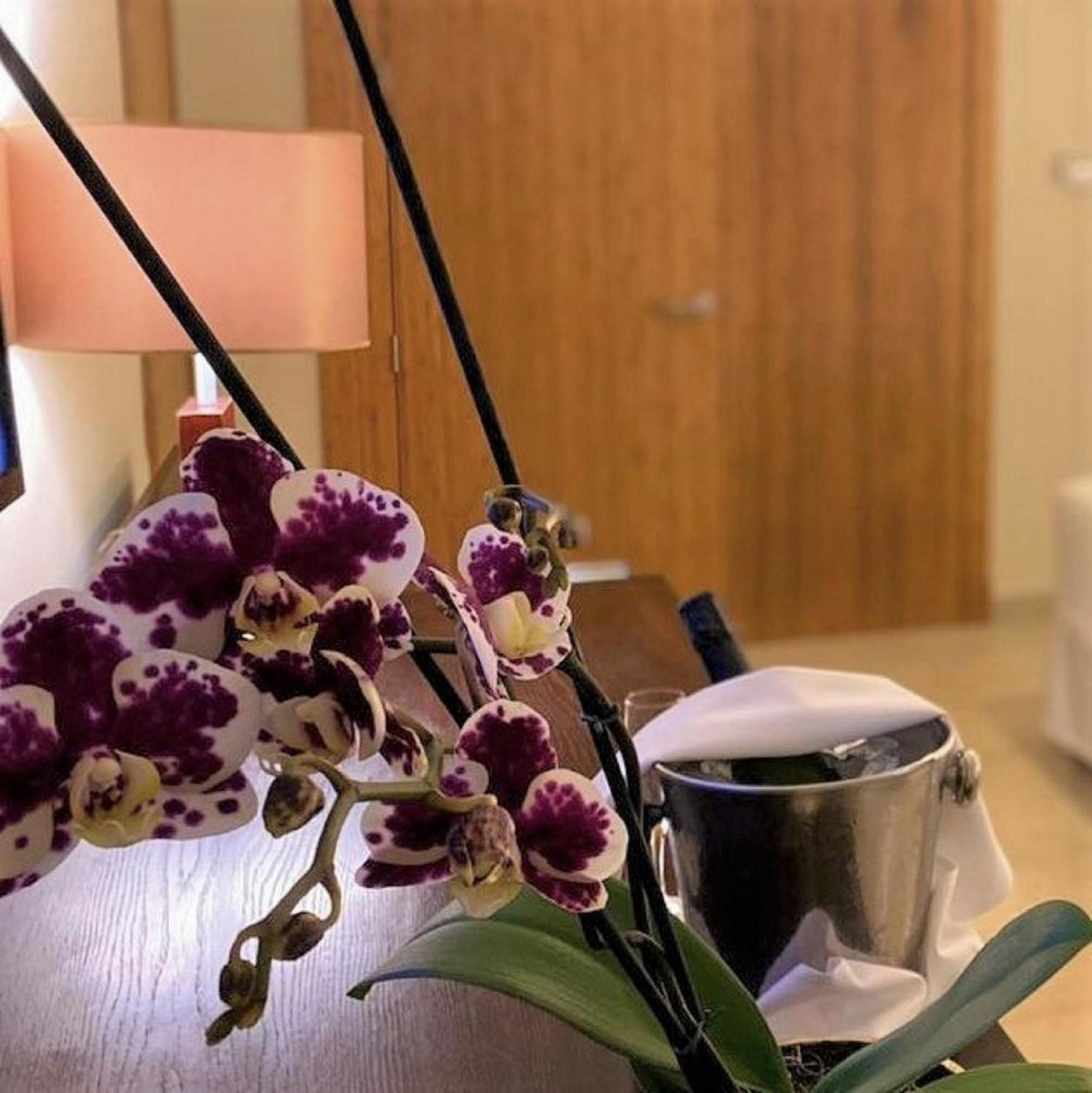 Punta Cana Vacations - Breathless Punta Cana Resort  Spa - Adults Only - All Inclusive - Property Image 19