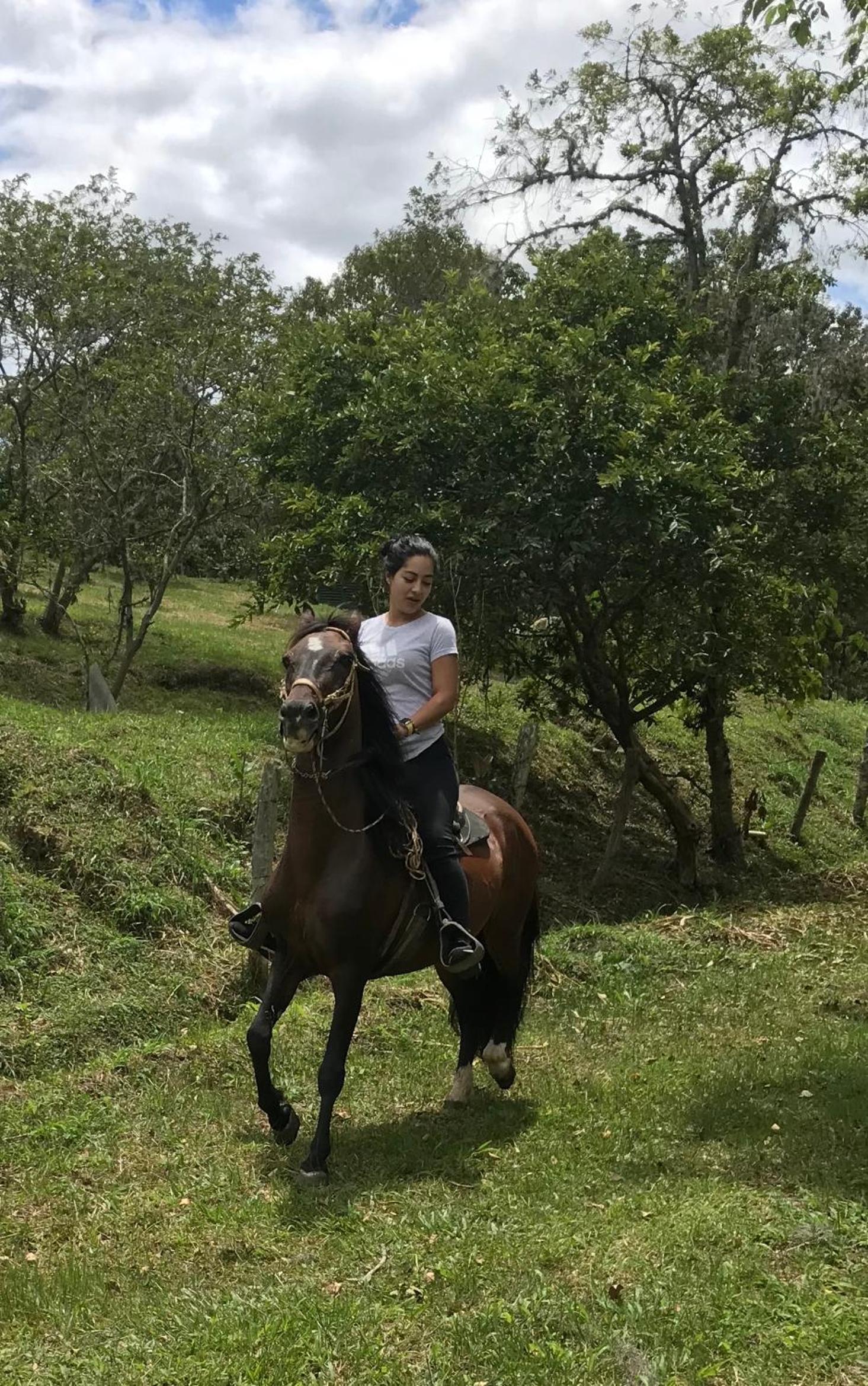 POSADA DEL CAMINO REAL