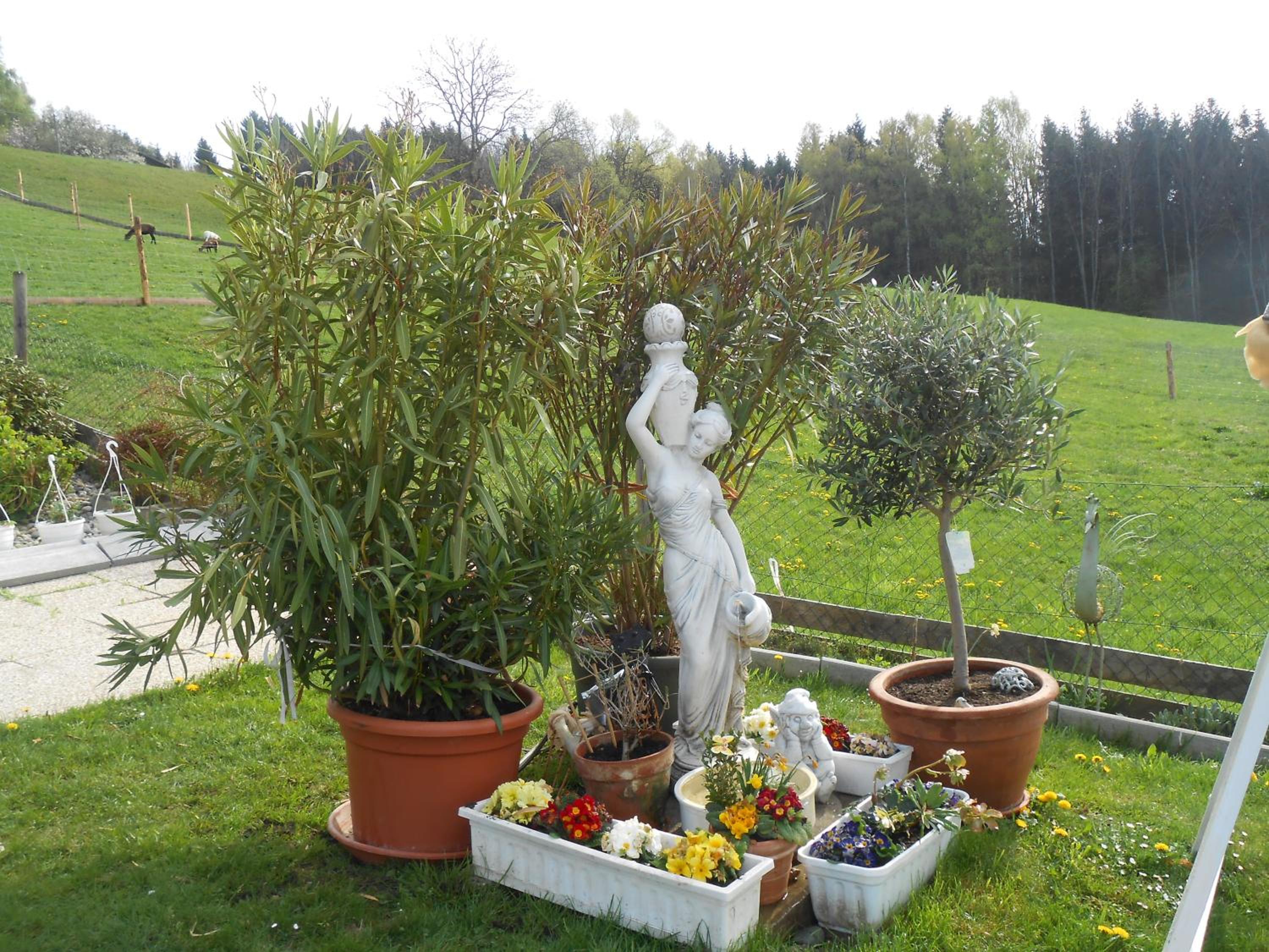 Photo 54