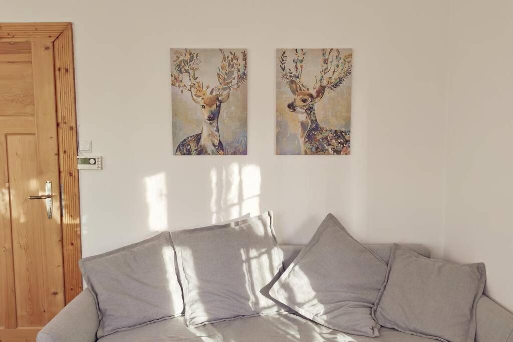 Marcówka M4 - duży apartament w historycznej willi z ogrodem view 2