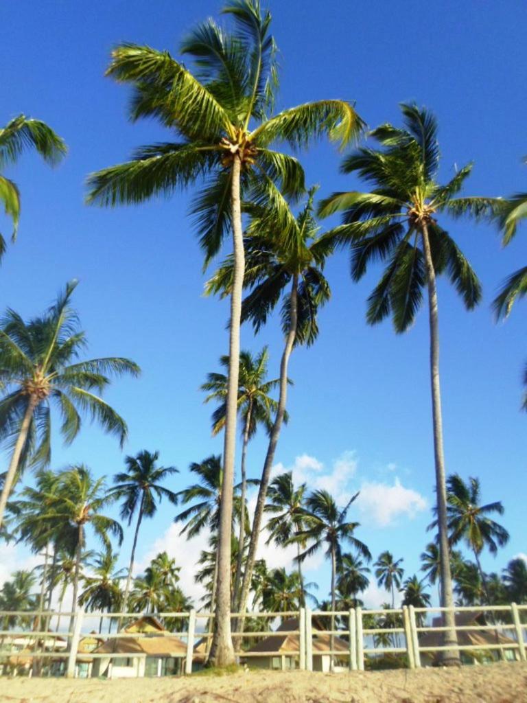 Carneiros Beach Resort