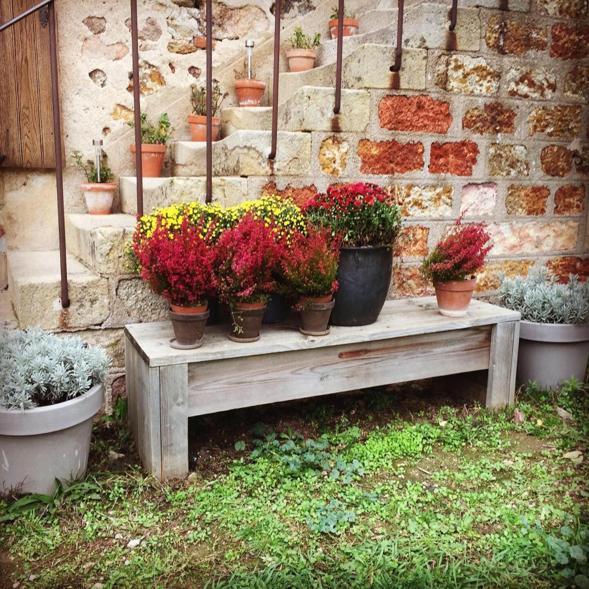 Photo 46