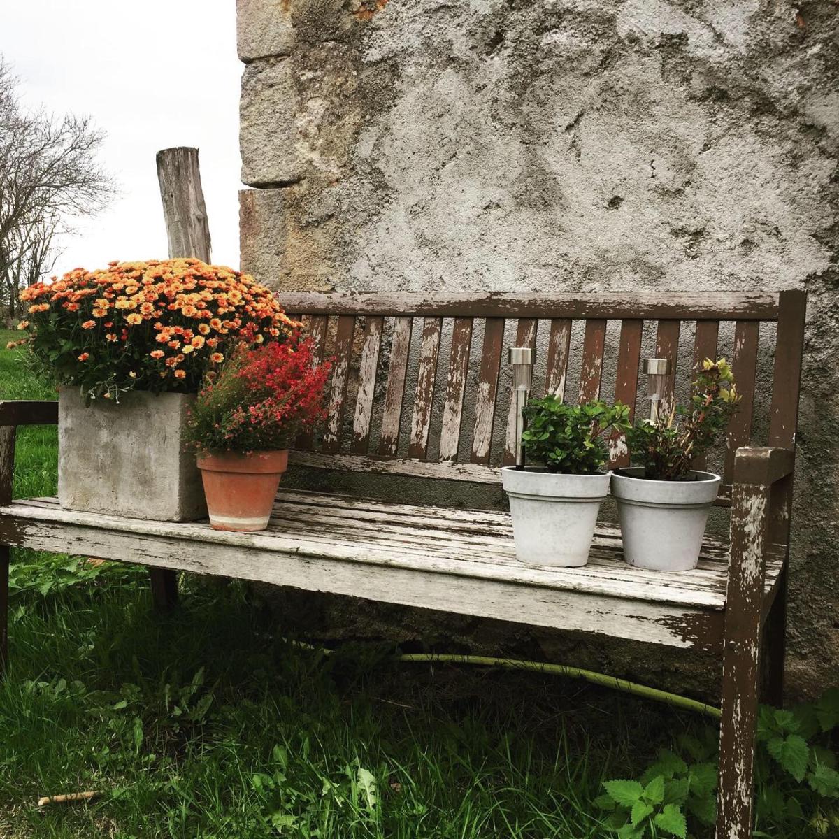 Photo 47