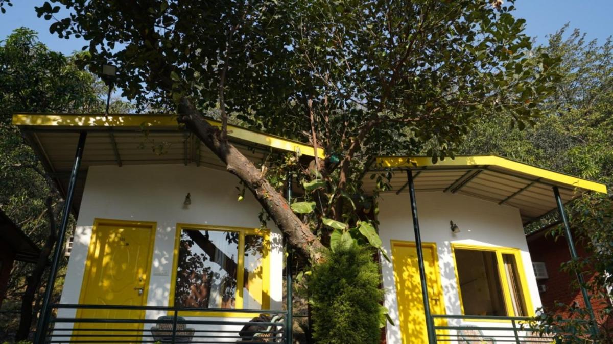 Photo 29