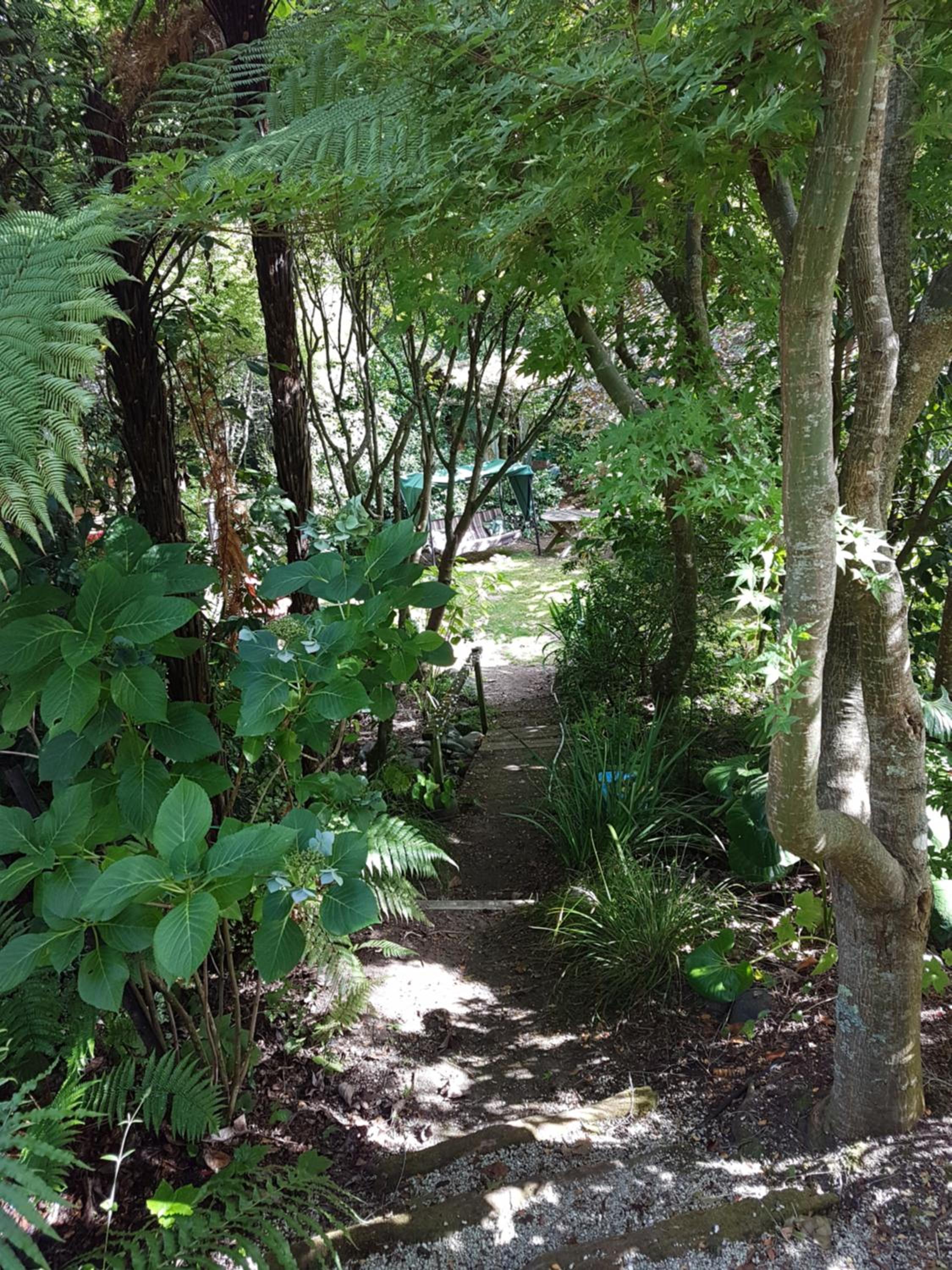 Photo 9