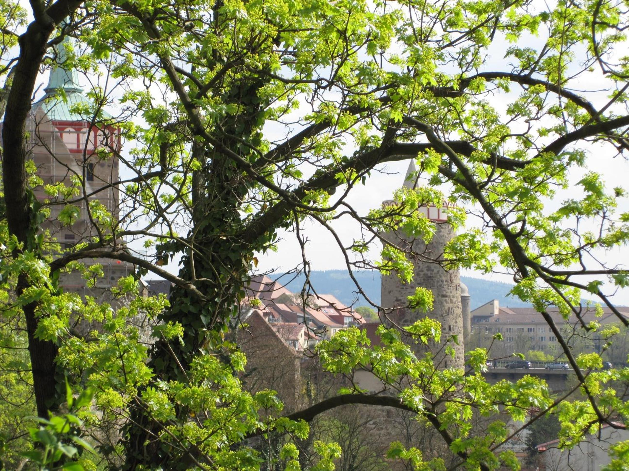 Schloss Schänke garni
