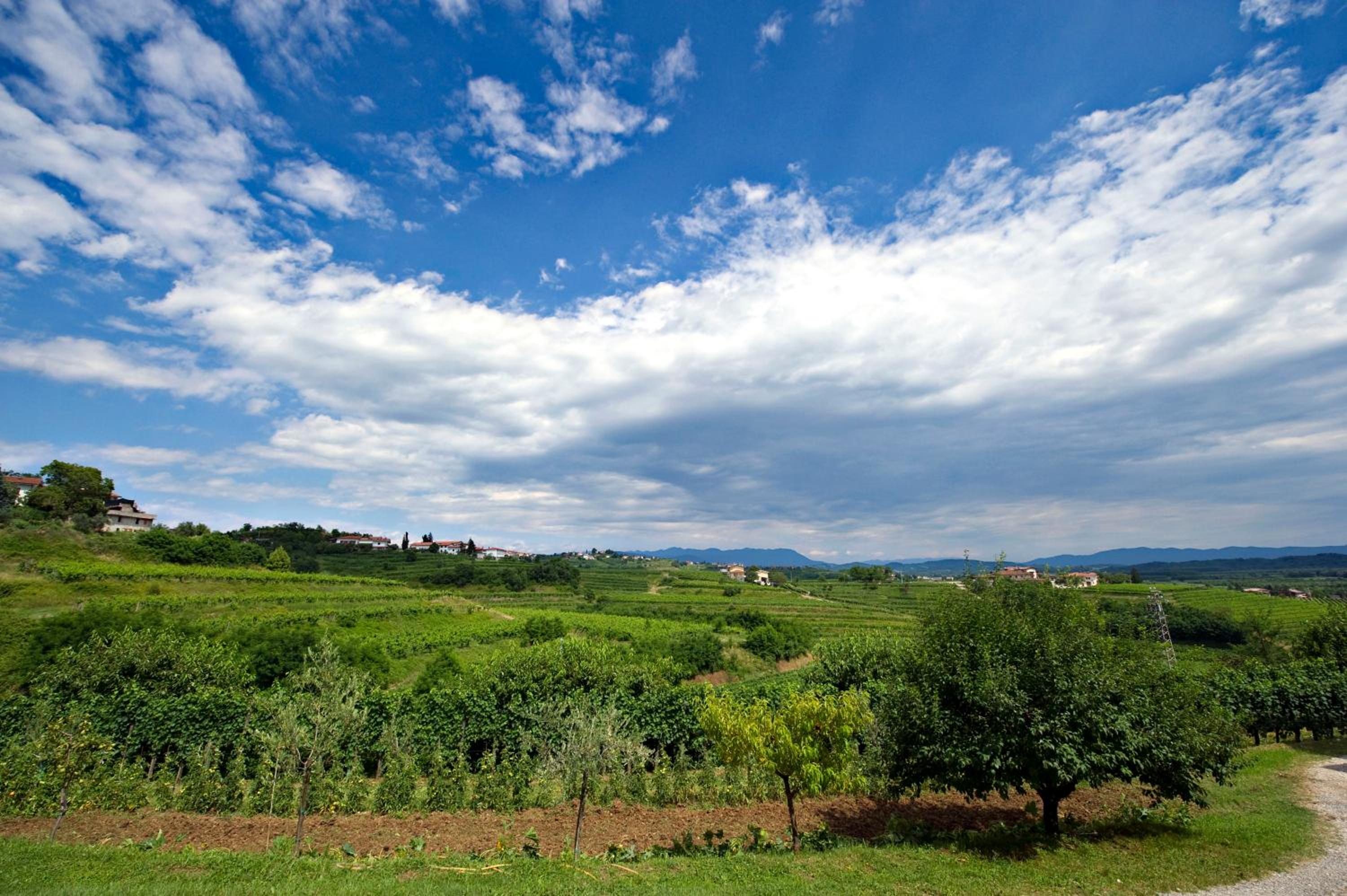 Al Confine view 5