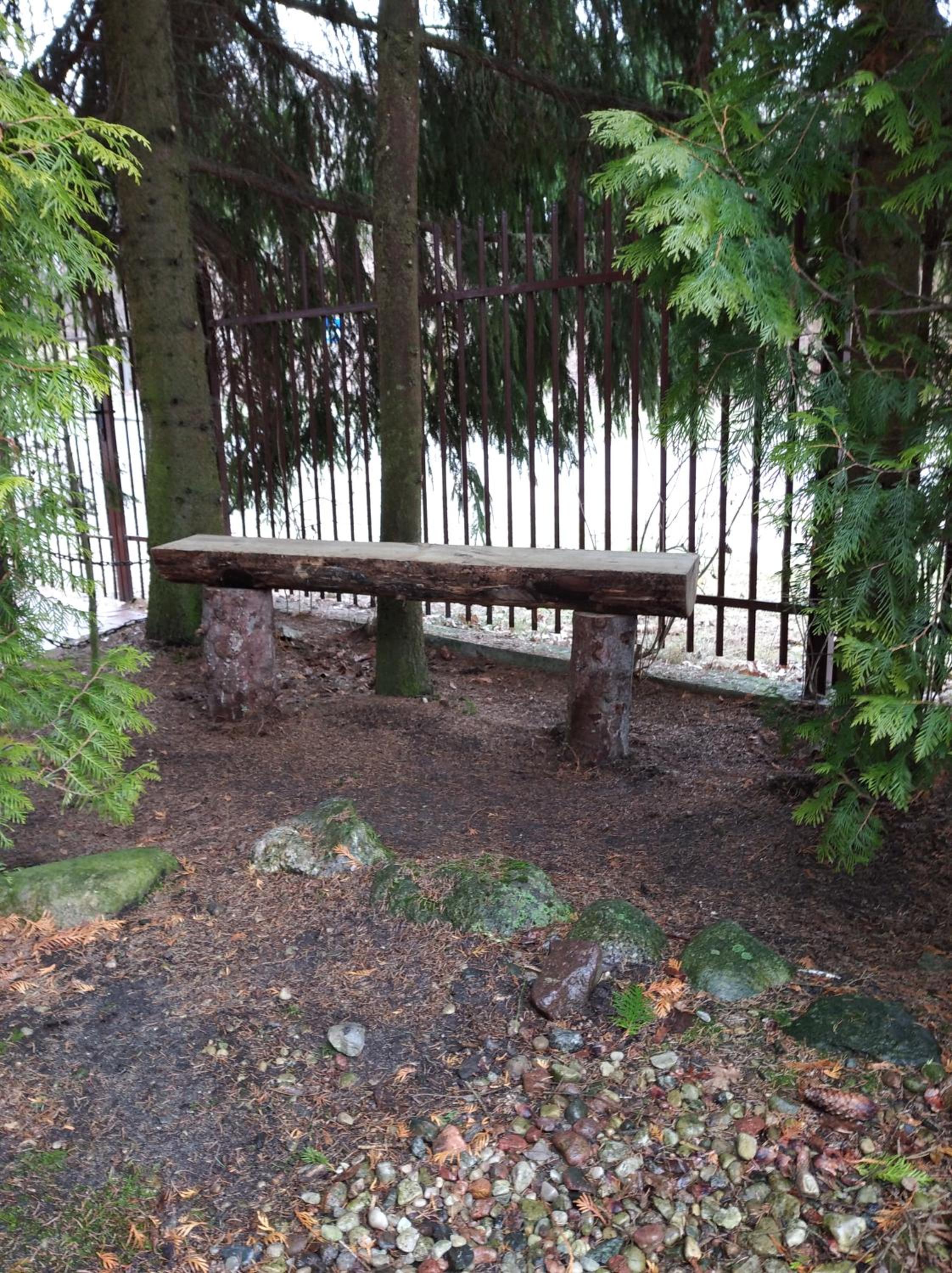 Photo 10