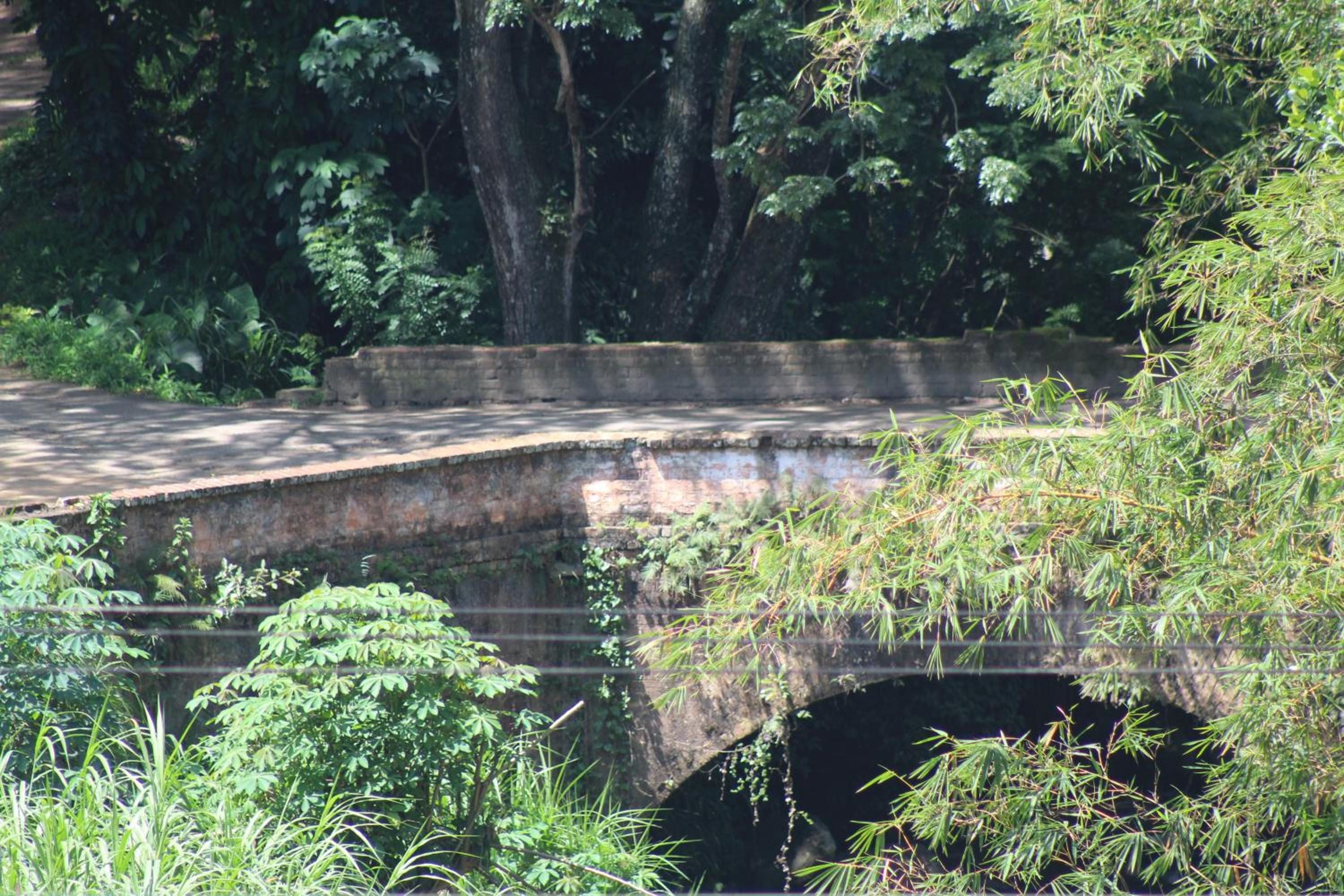 Kandyan Lounge