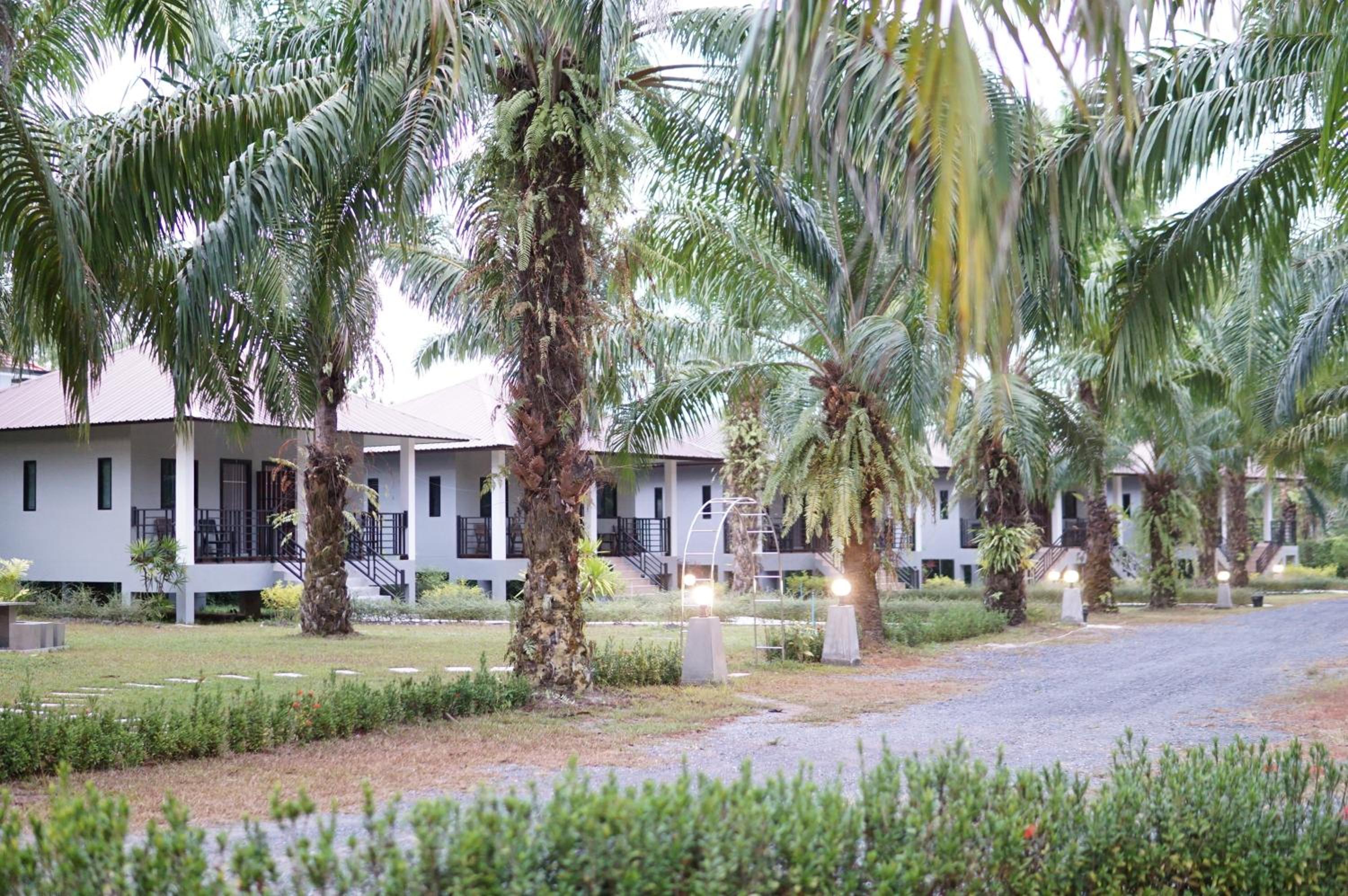 Hotel Palm Scenery Resort - Image 1