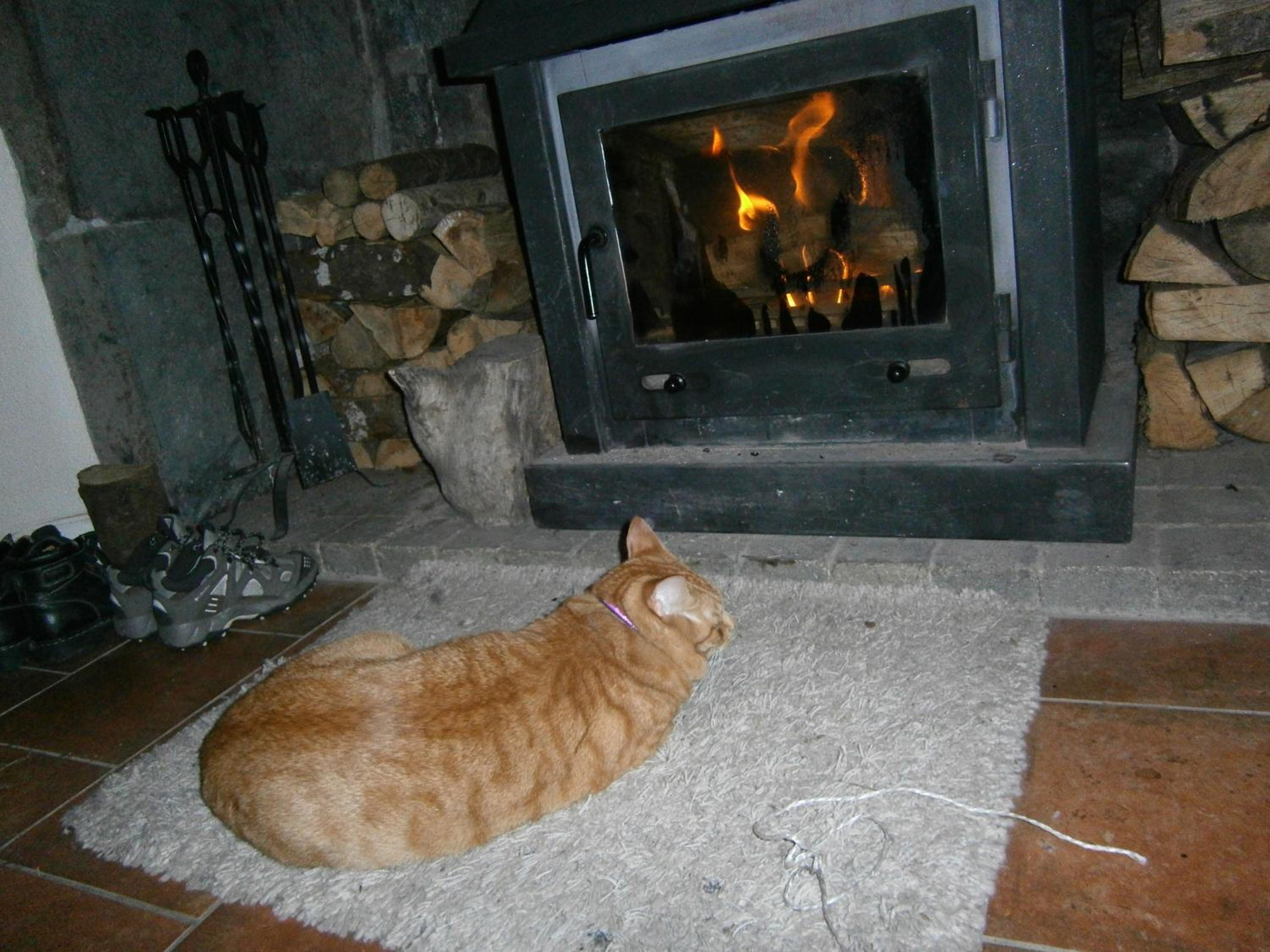 Photo 25