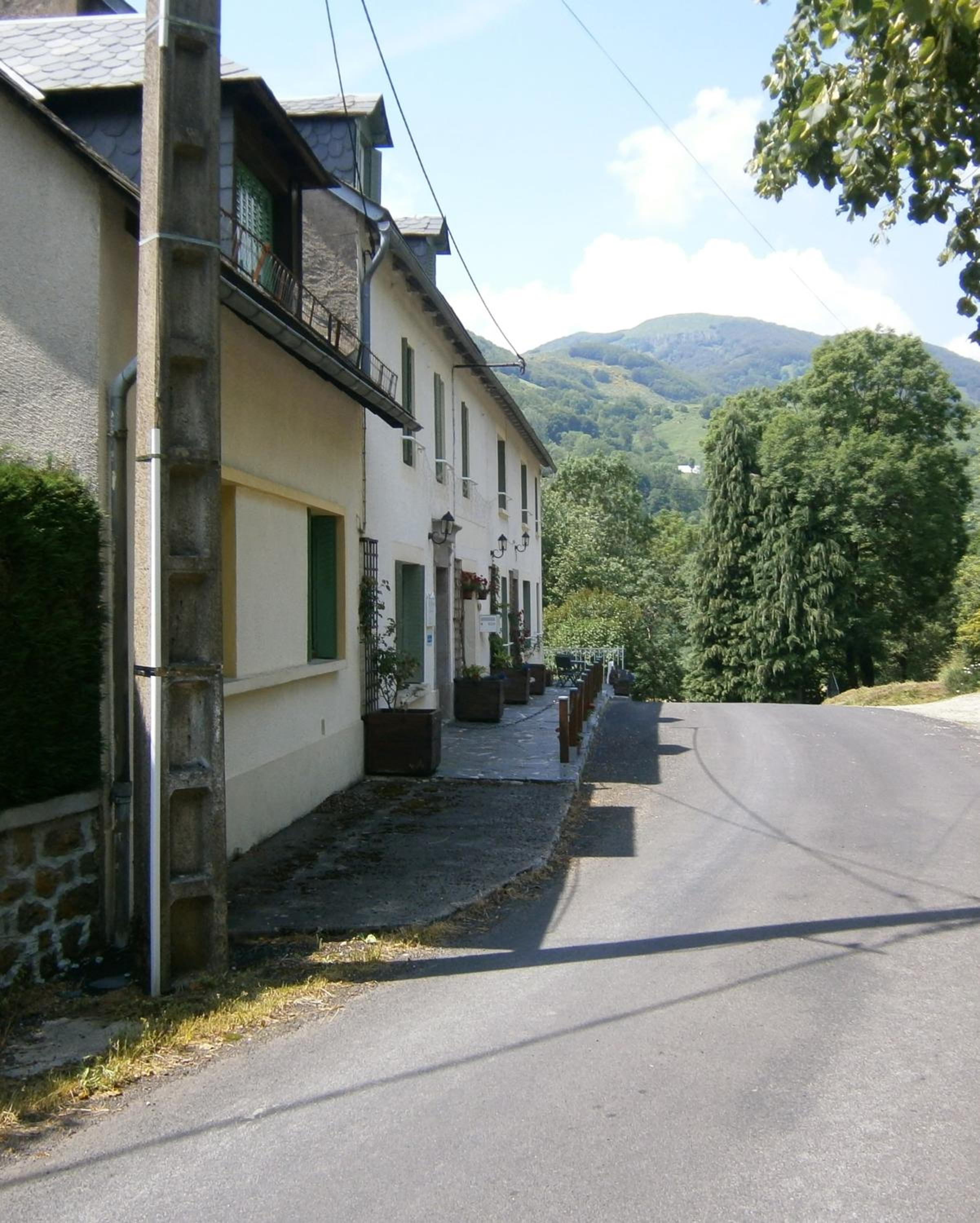 Photo 31