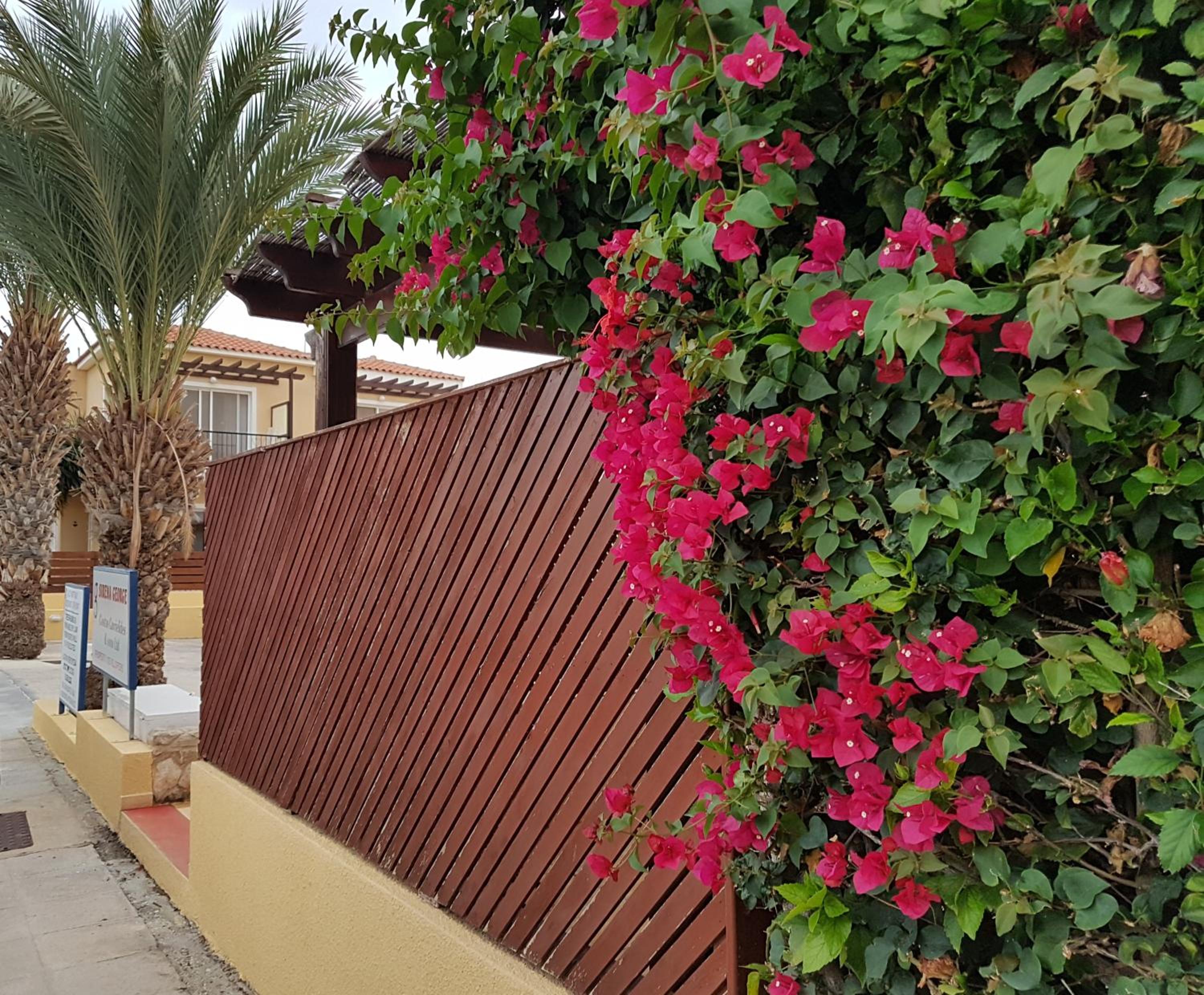Charming 2 Bed. Ap. with swimming pool
