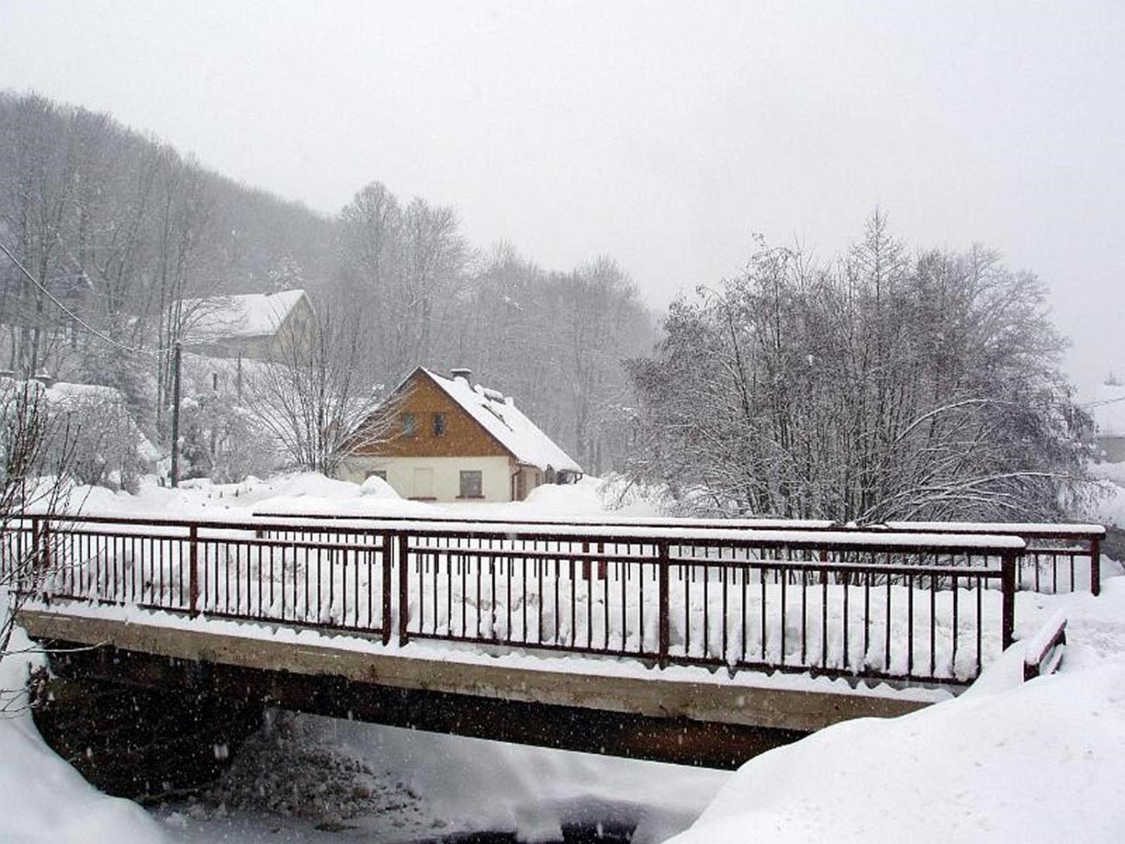 Family House Dolni Lanov