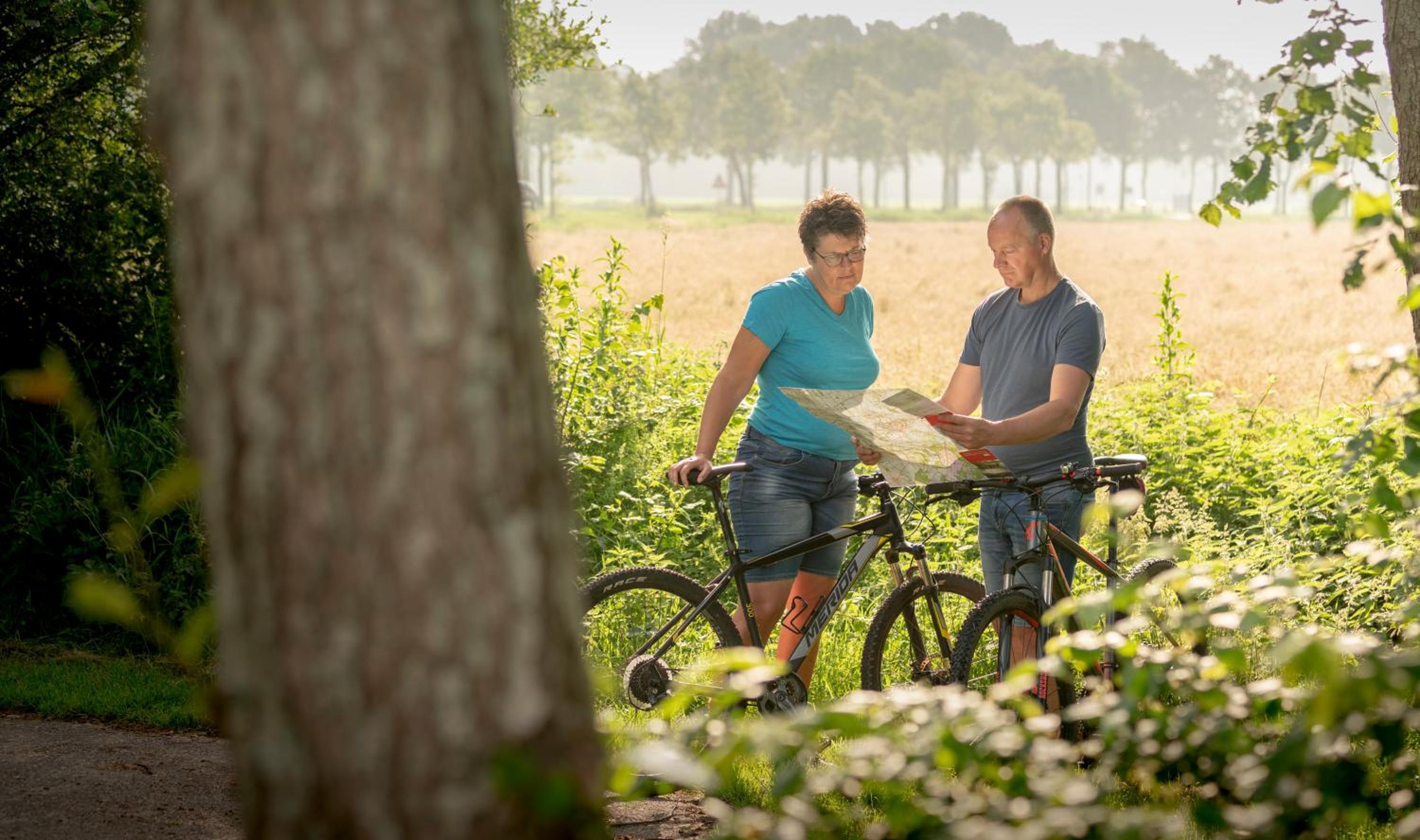 Vakantiepark Bosmeer Friesland