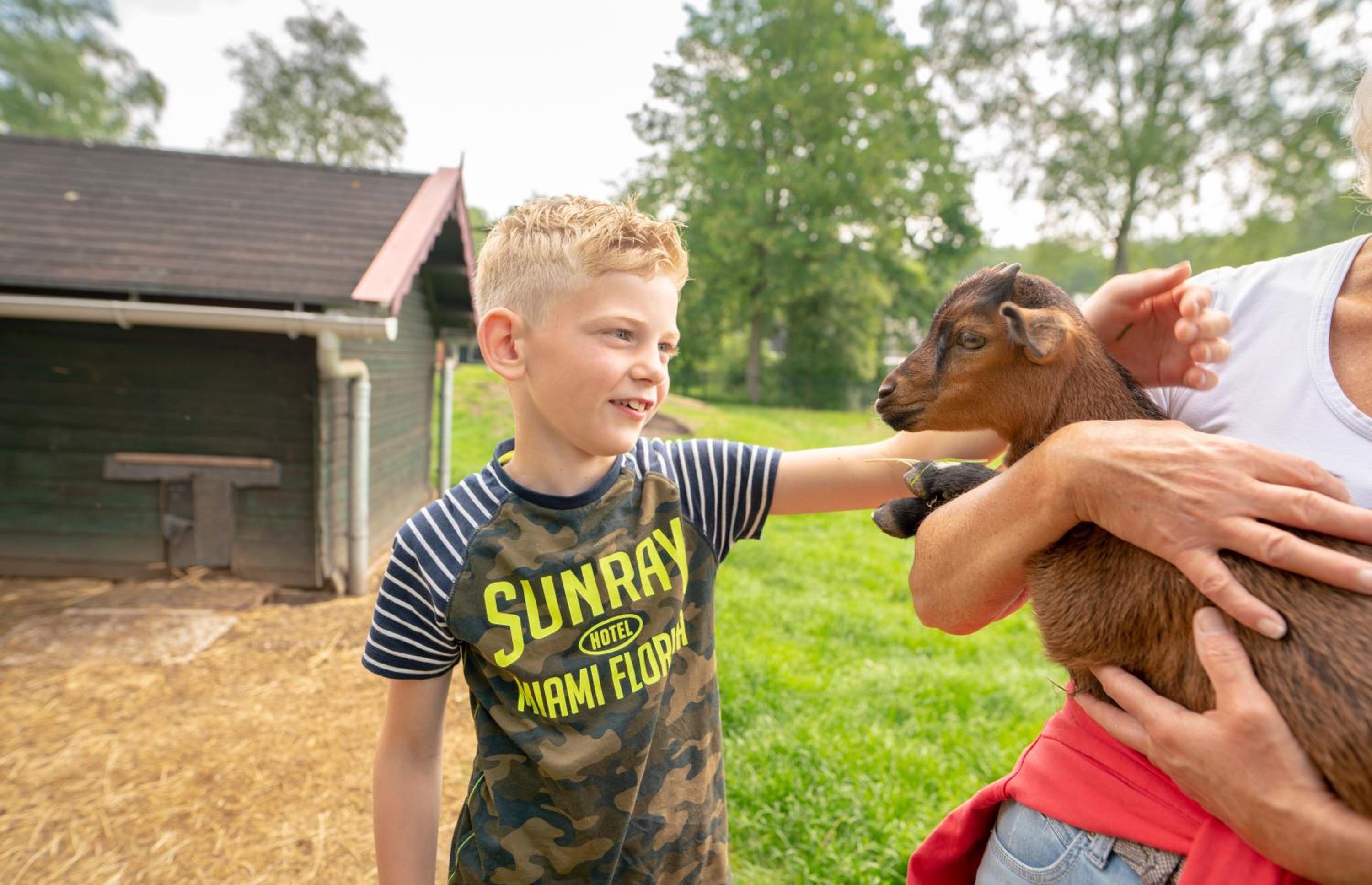 Vakantiepark Bosmeer Friesland