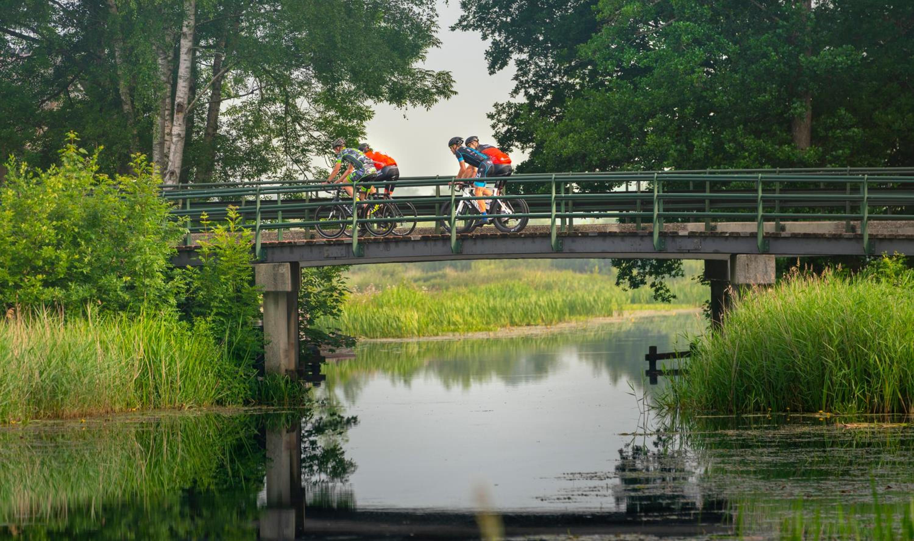 Vakantiepark Bosmeer Friesland