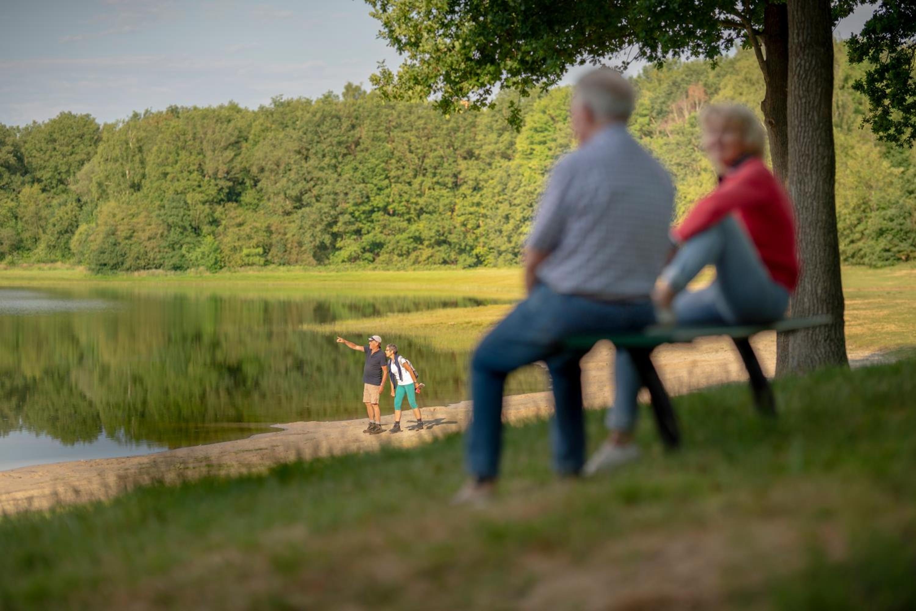 Vakantiepark Bosmeer Friesland