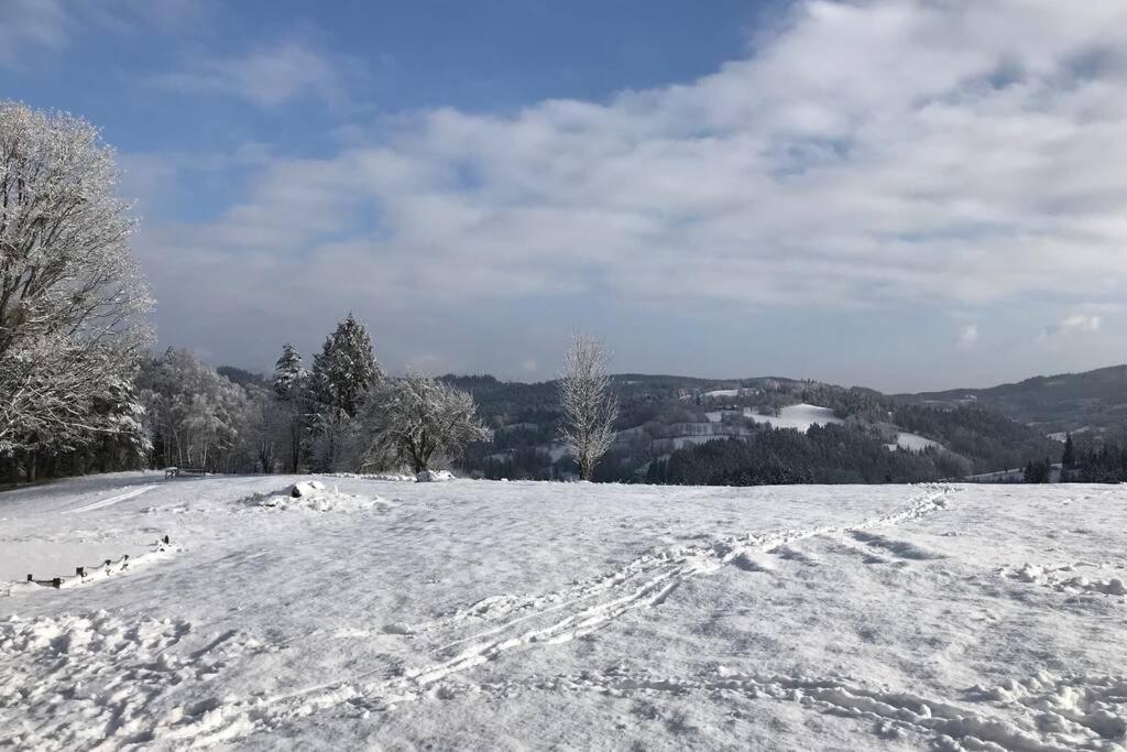Statek Humenec - Klid u lesů, Česko