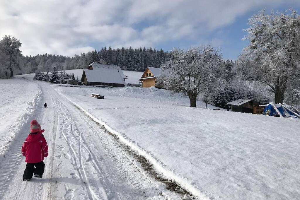 Statek Humenec - Klid u lesů, Česko