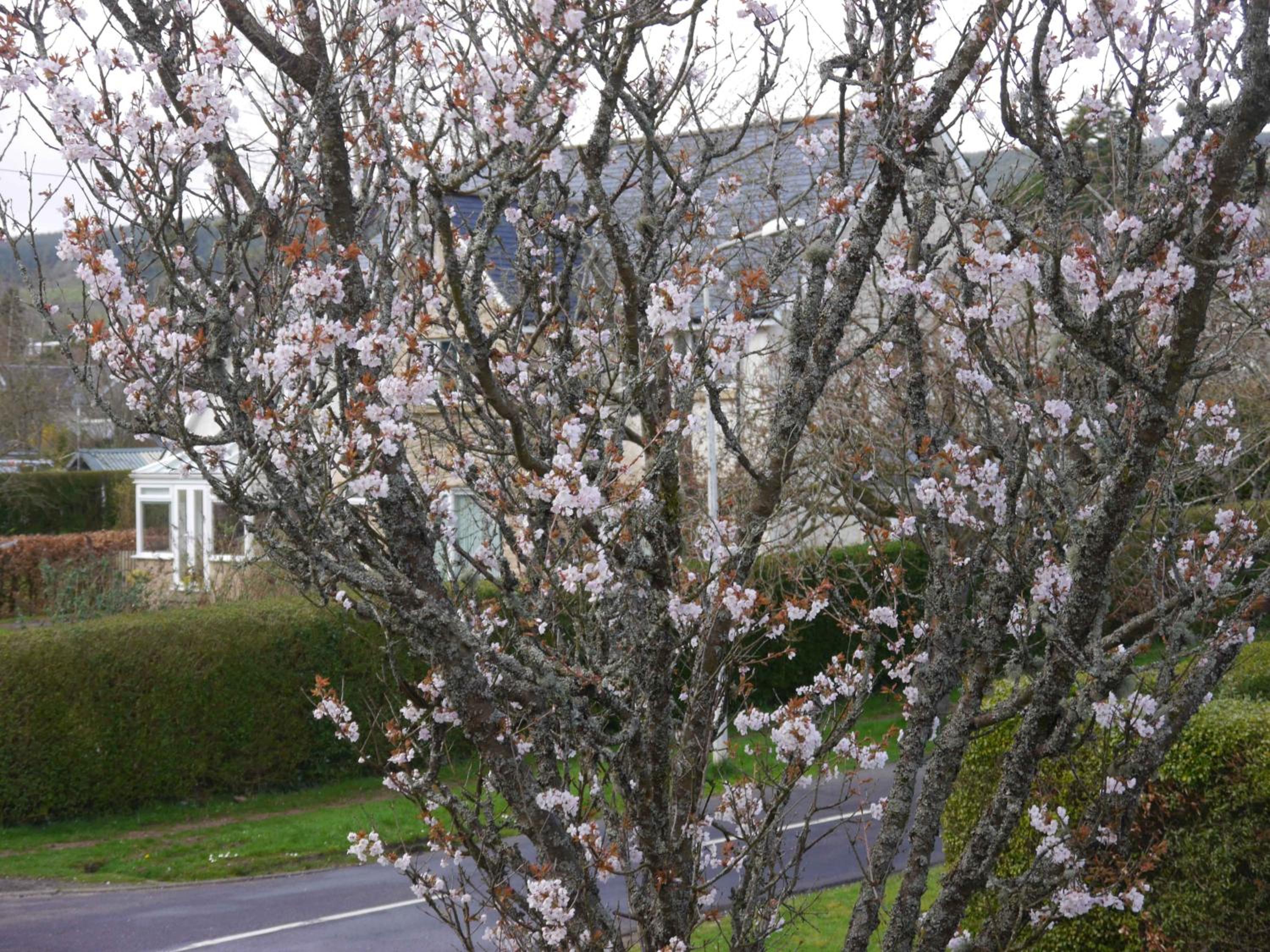 Photo 32
