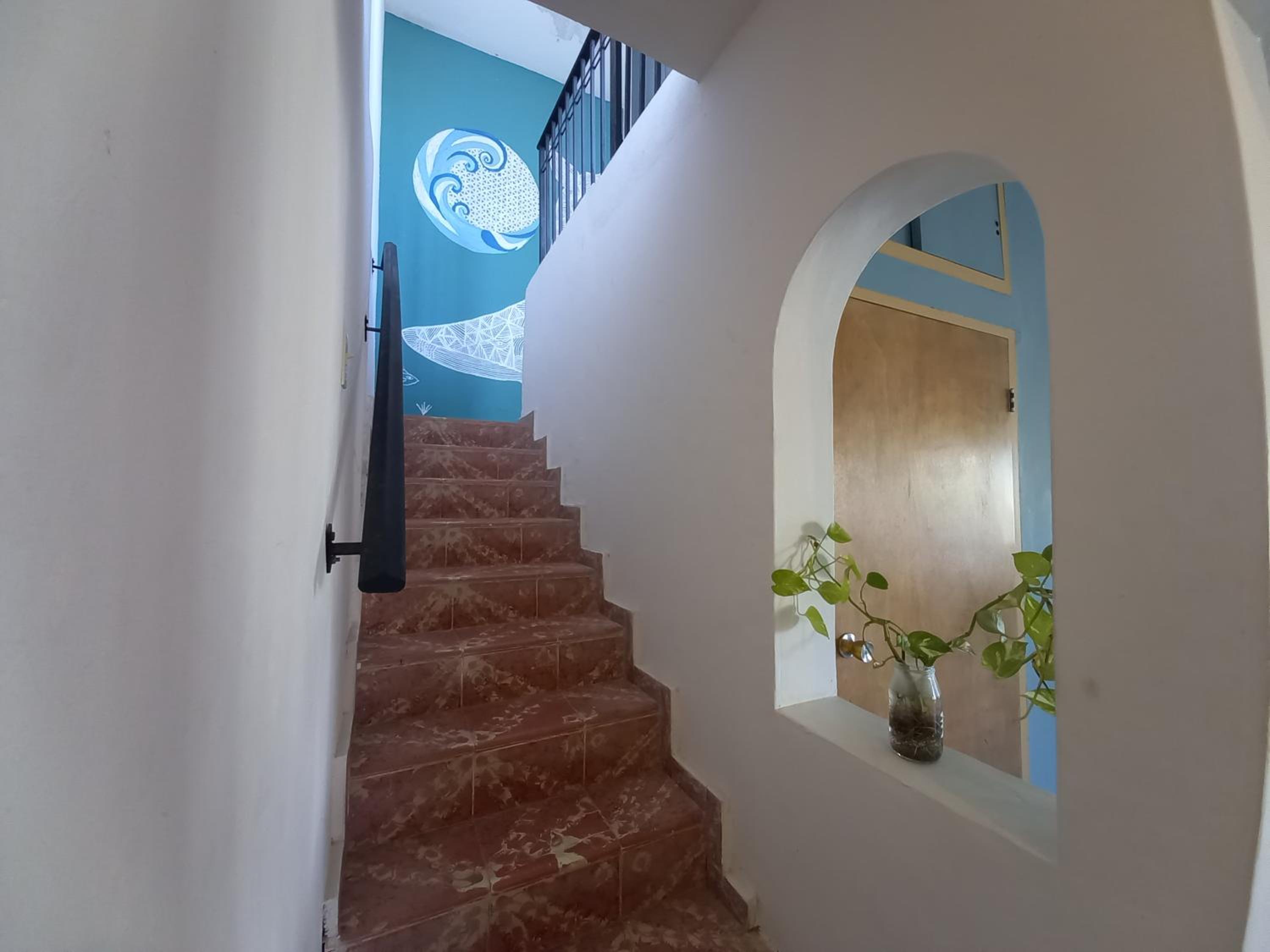 Bermejo Hostel