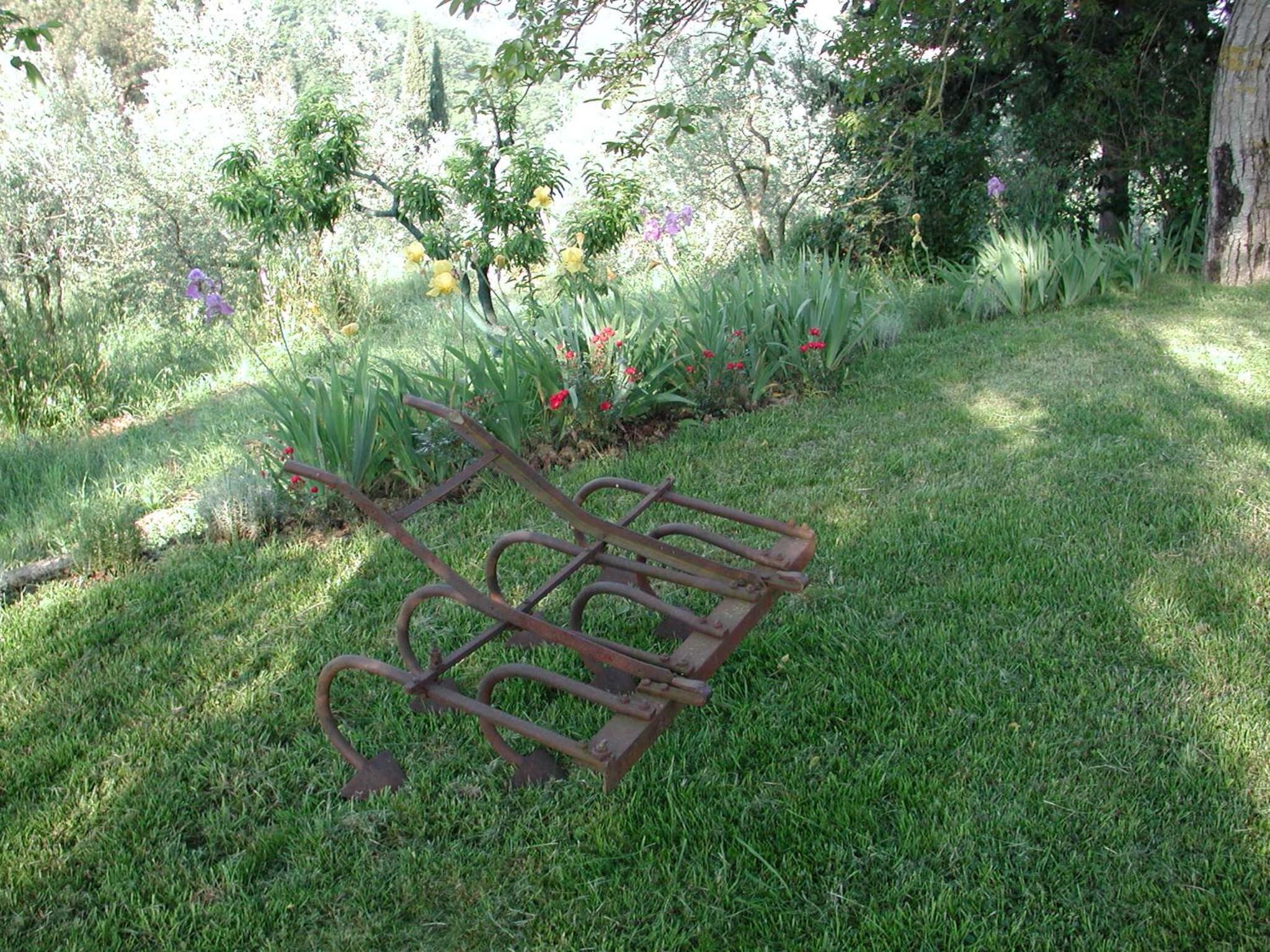 Photo 11