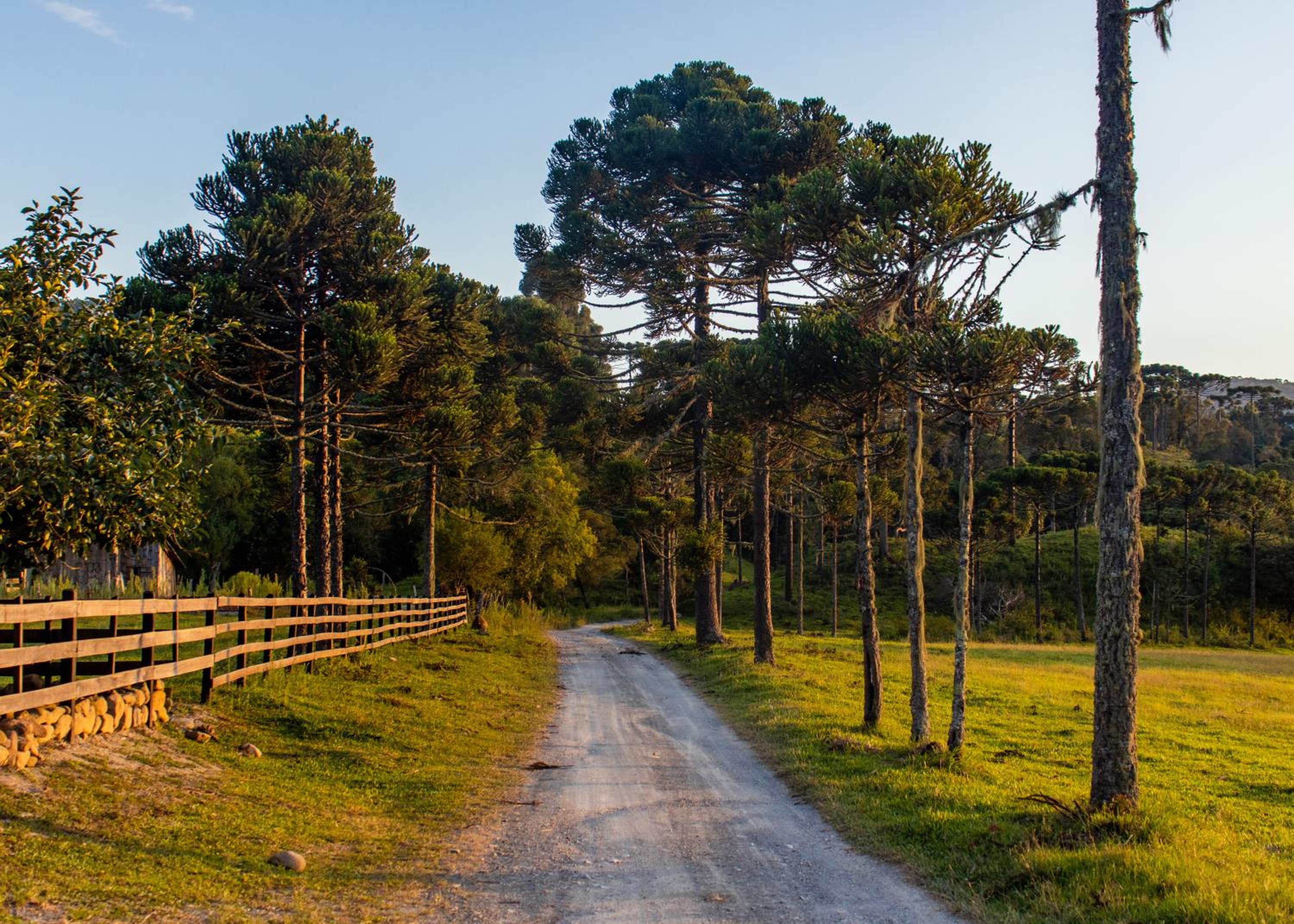 Hospedagem Rural Recanto do Riacho