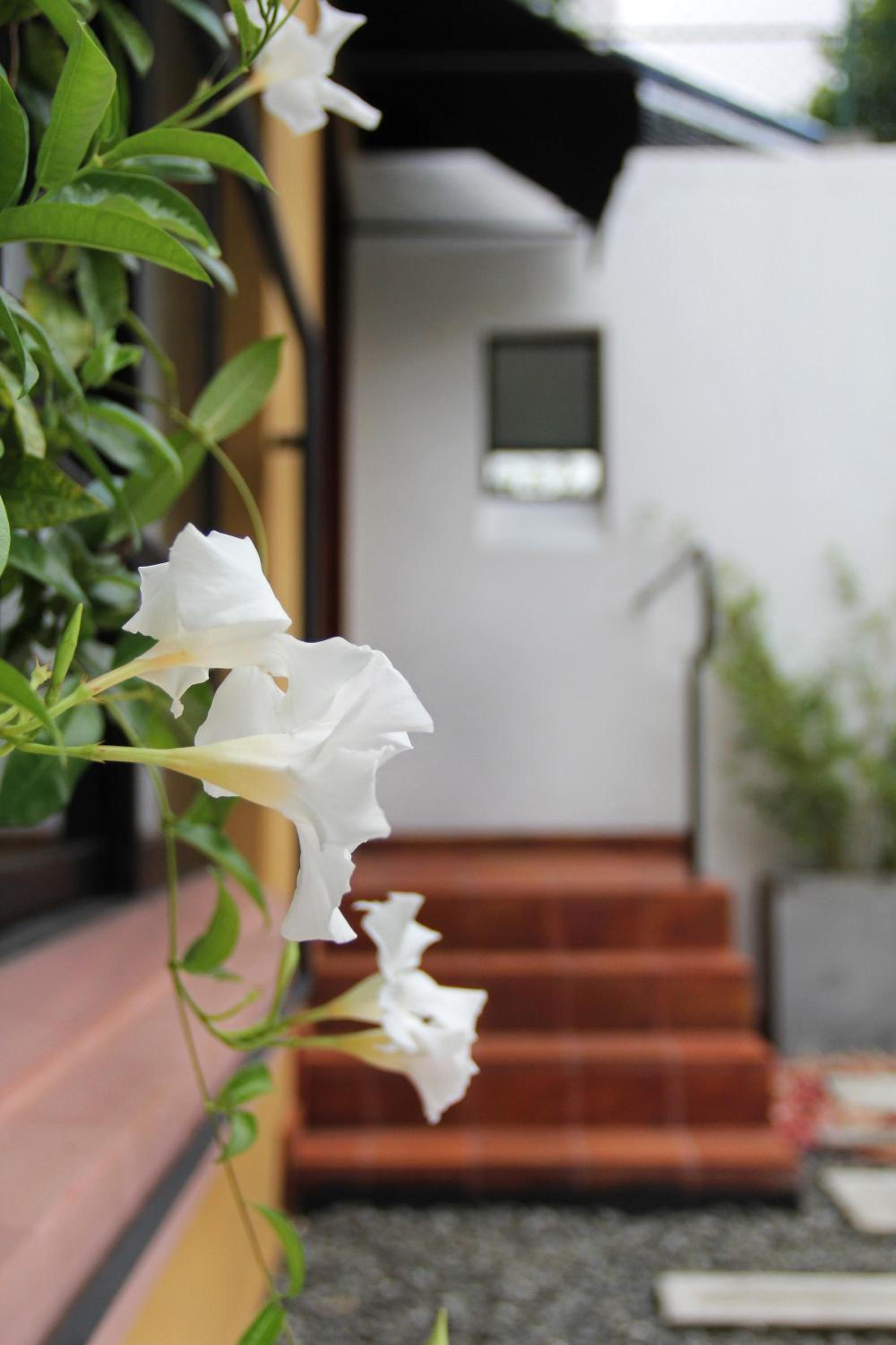 Villa Escondite - The Hotel