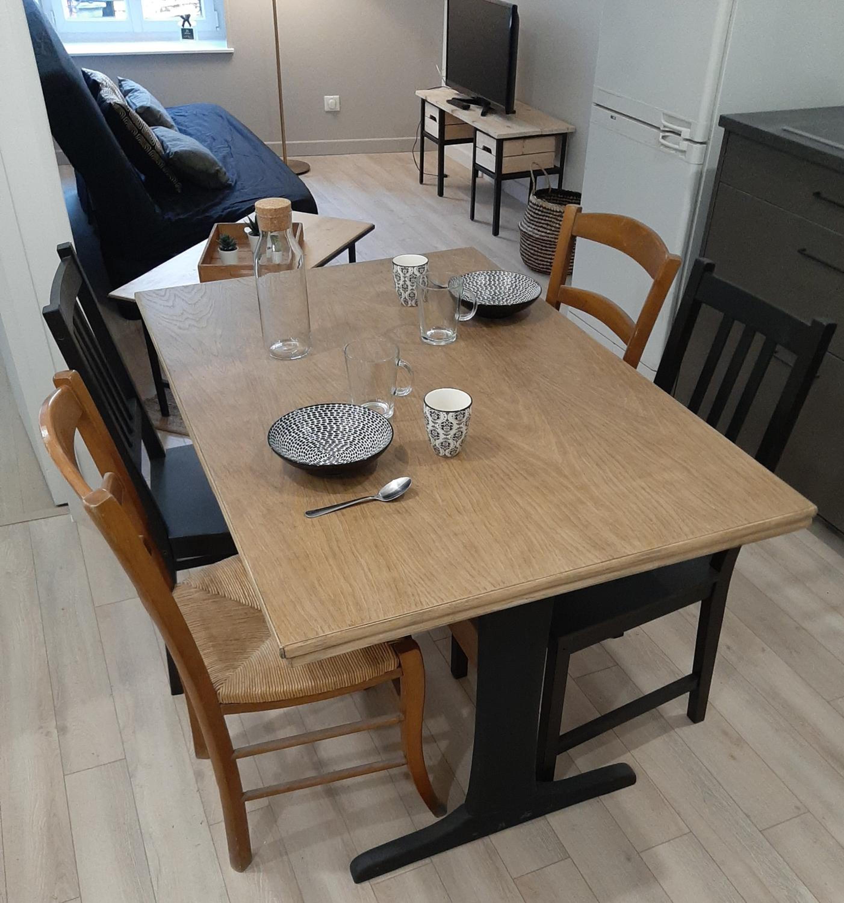 LOUHANS Les Petites Arcades avec ses deux appartements coté seille et coté jardin view 4