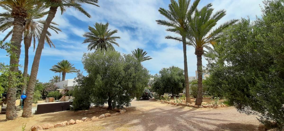 Midoun Vacations - Djerbahouch - Property Image 39