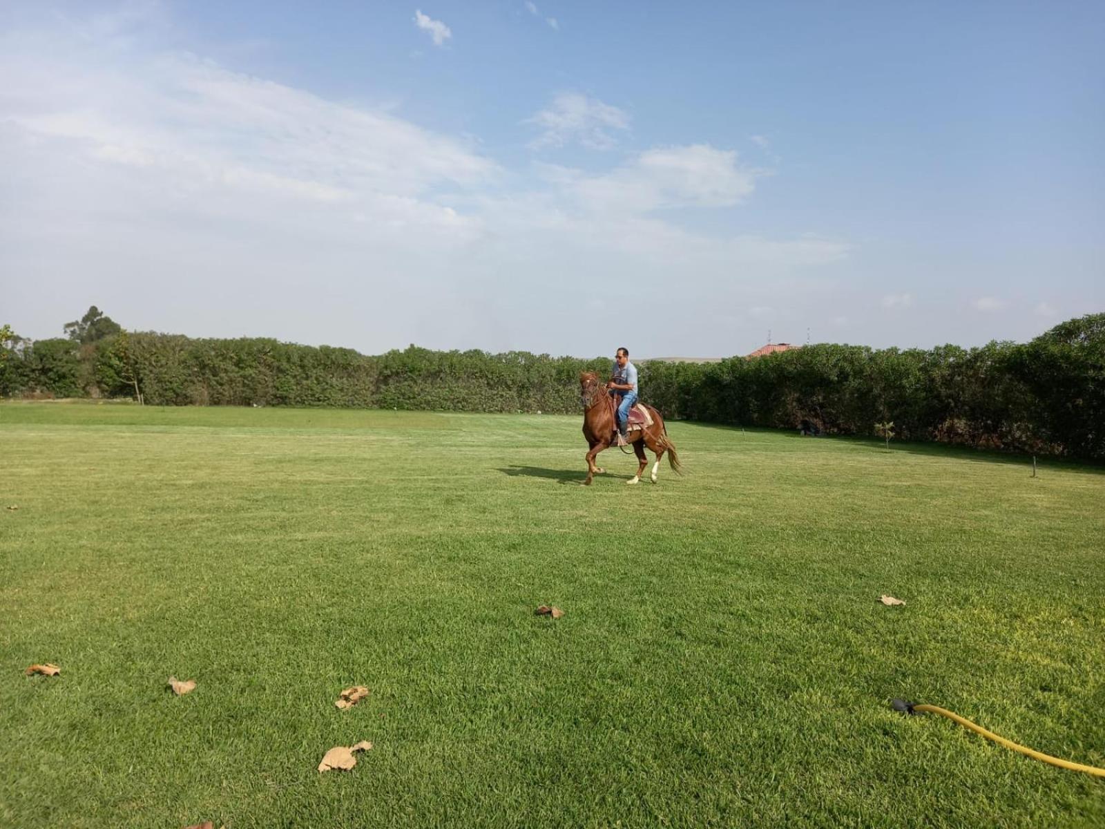 Elysium Farmland