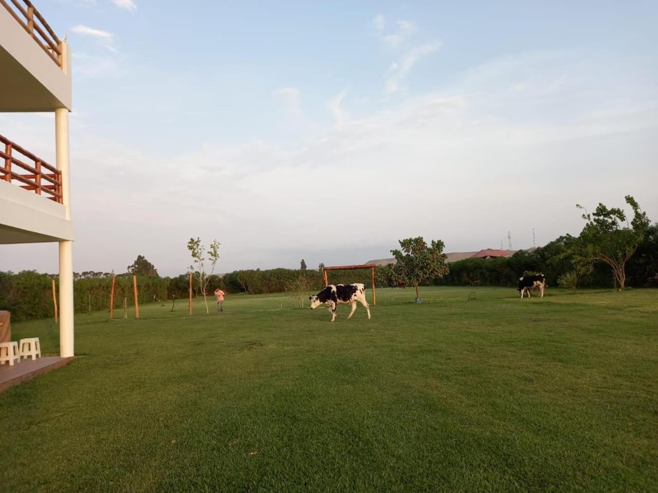 Elysium Farmland