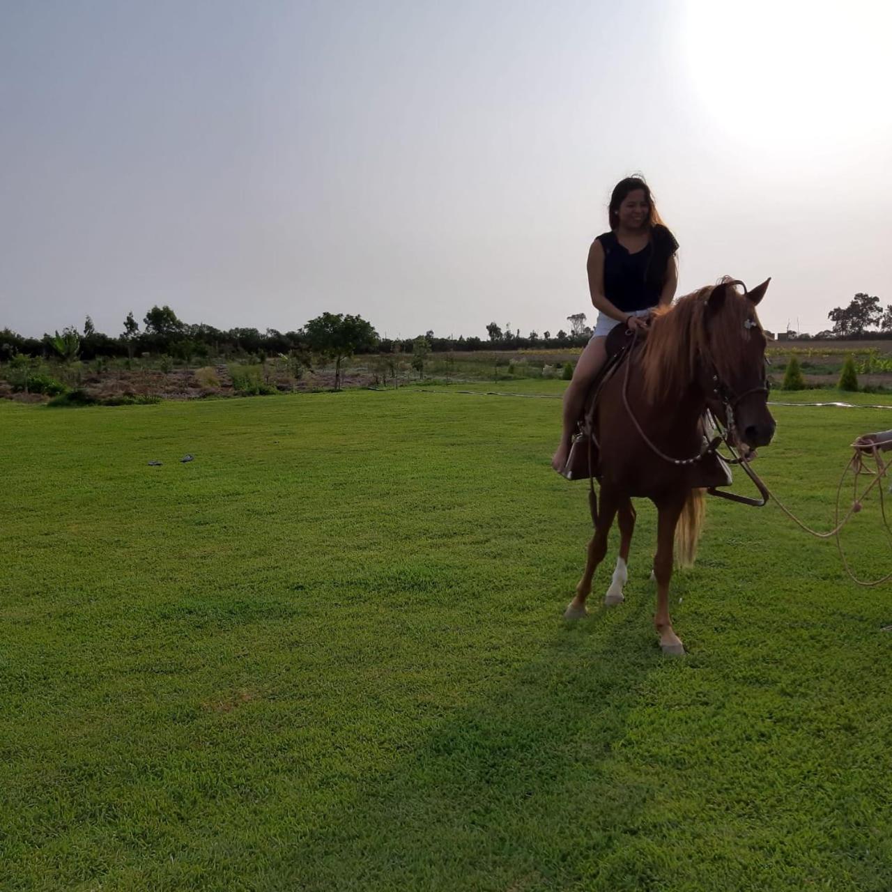 Elysium Farmland